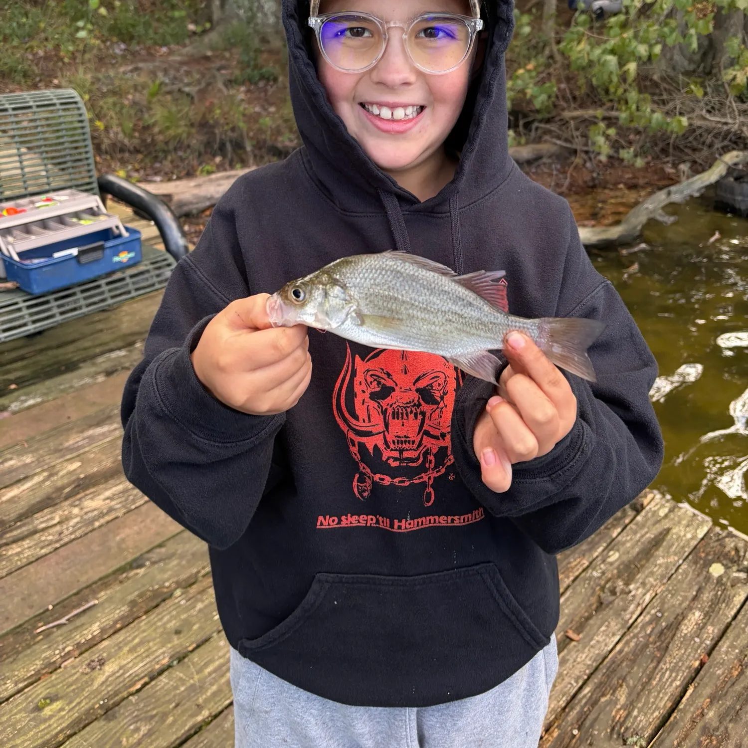 White perch caught on Fishbrain