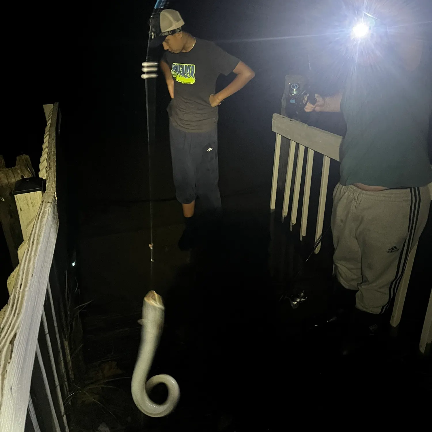 American eel caught on Fishbrain