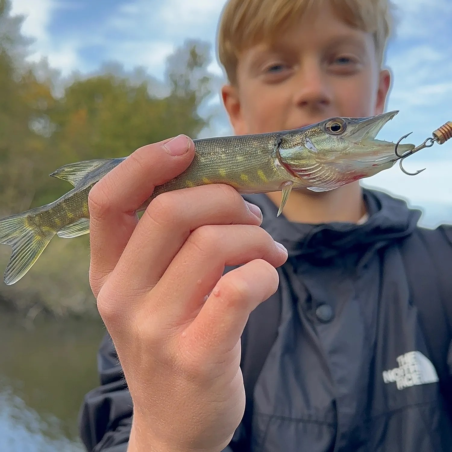 Northern pike caught on Fishbrain