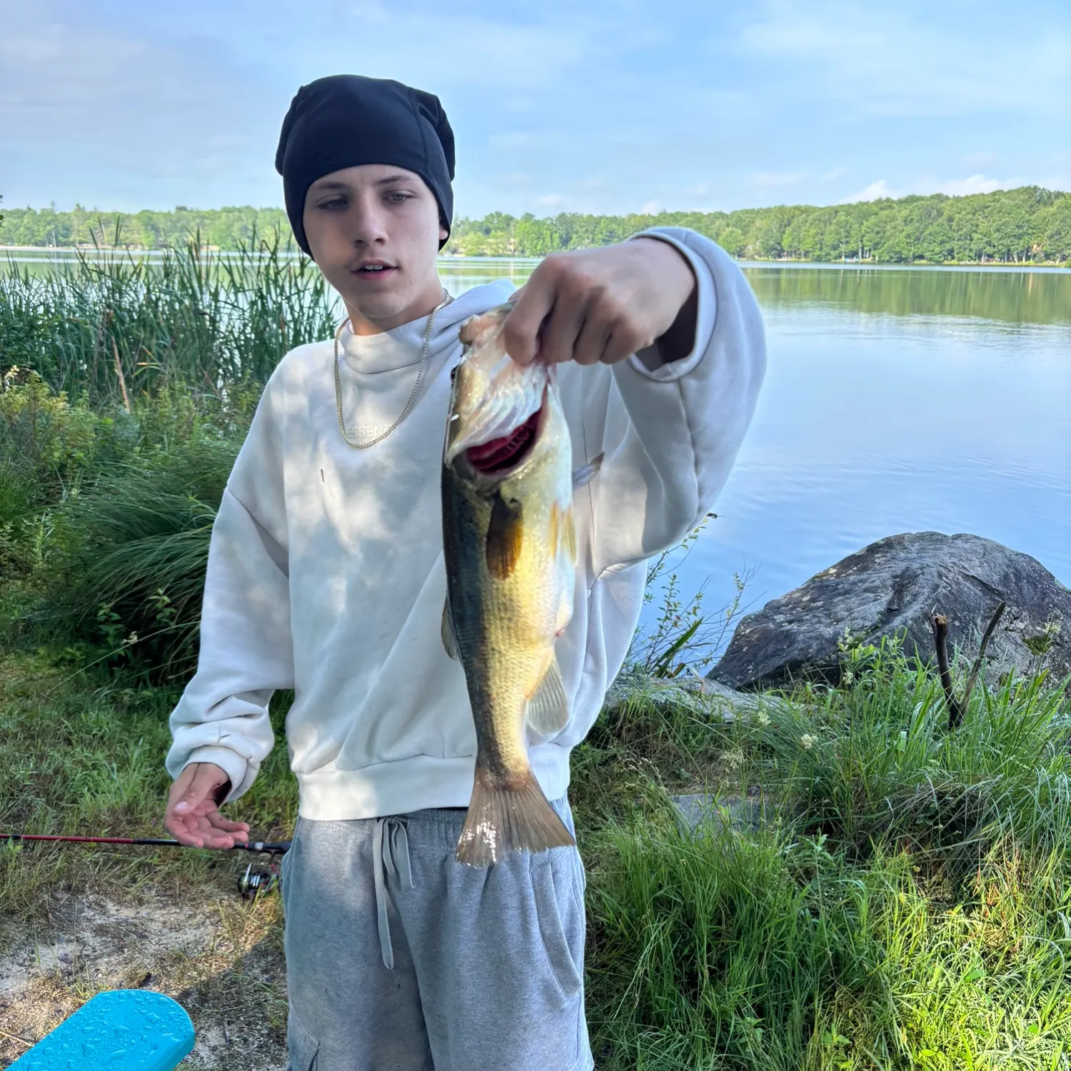 The most recent Largemouth bass catches on Fishbrain