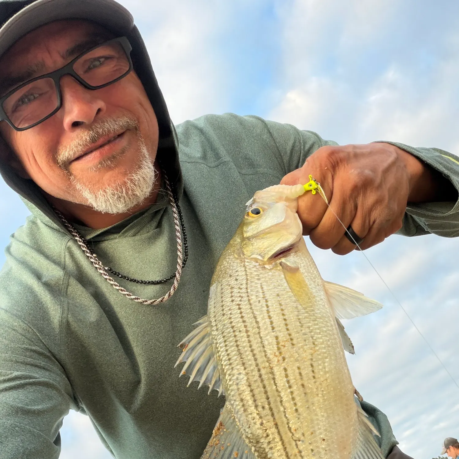 White bass caught on Fishbrain