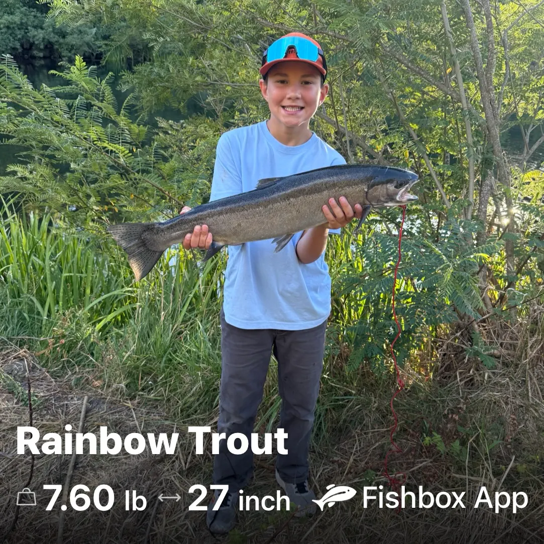 Steelhead caught on Fishbrain