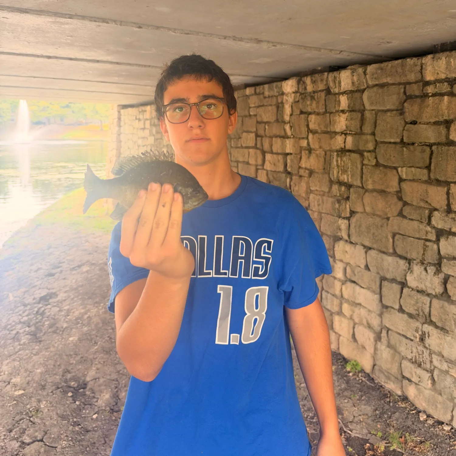 Bluegill caught on Fishbrain