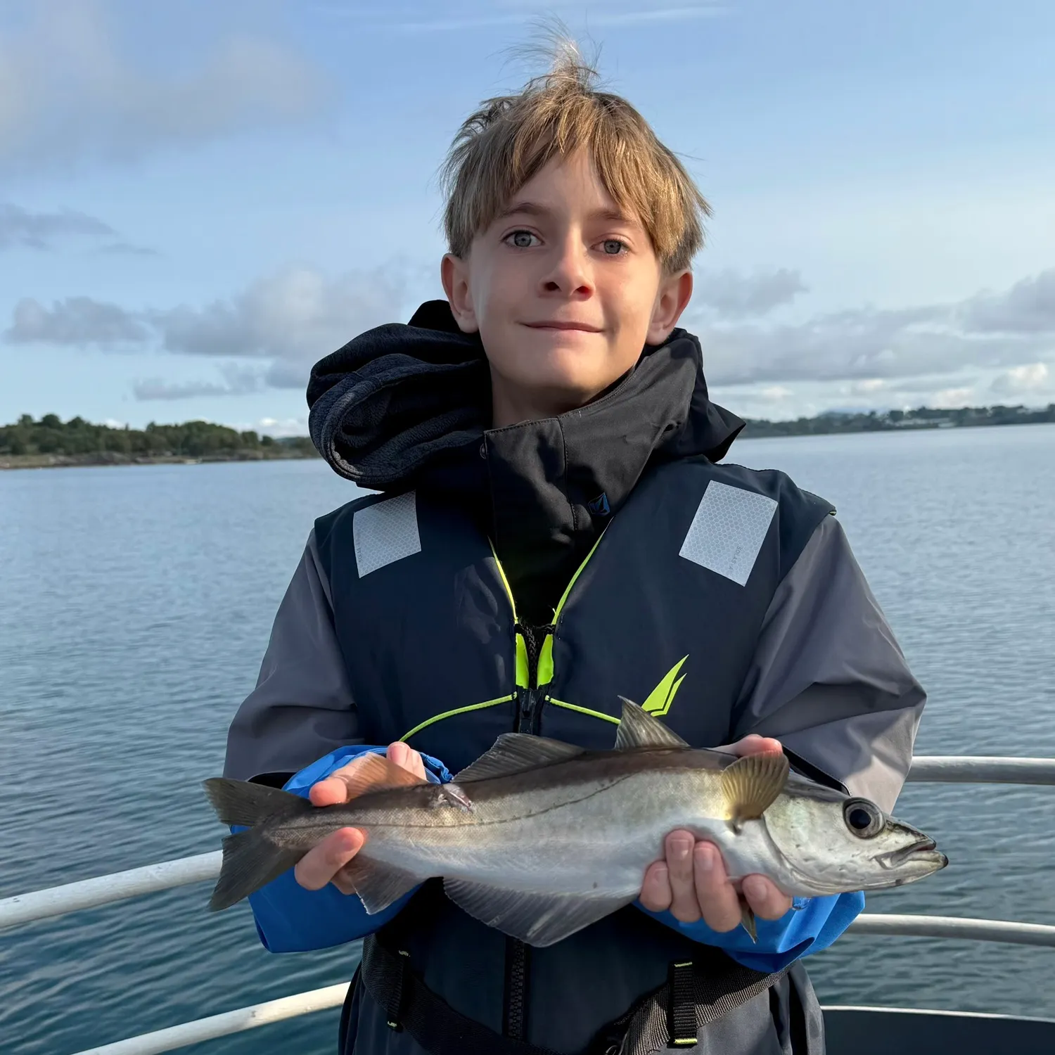 The most recent Pollack catches on Fishbrain