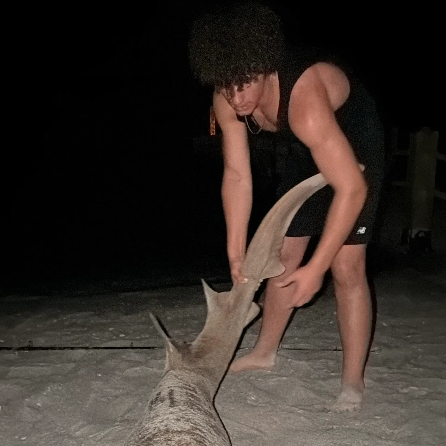 The most recent Nurse shark catches on Fishbrain