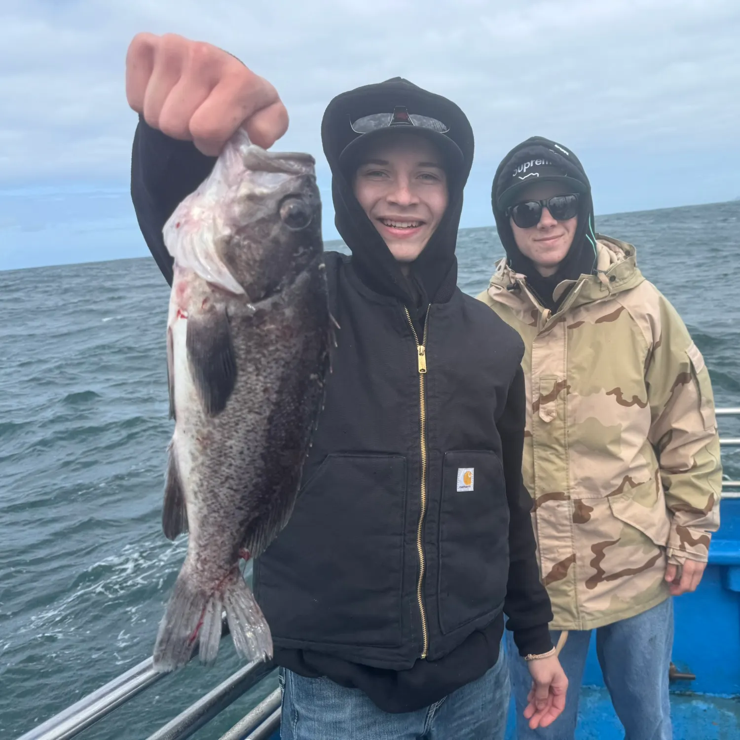 recently logged catches