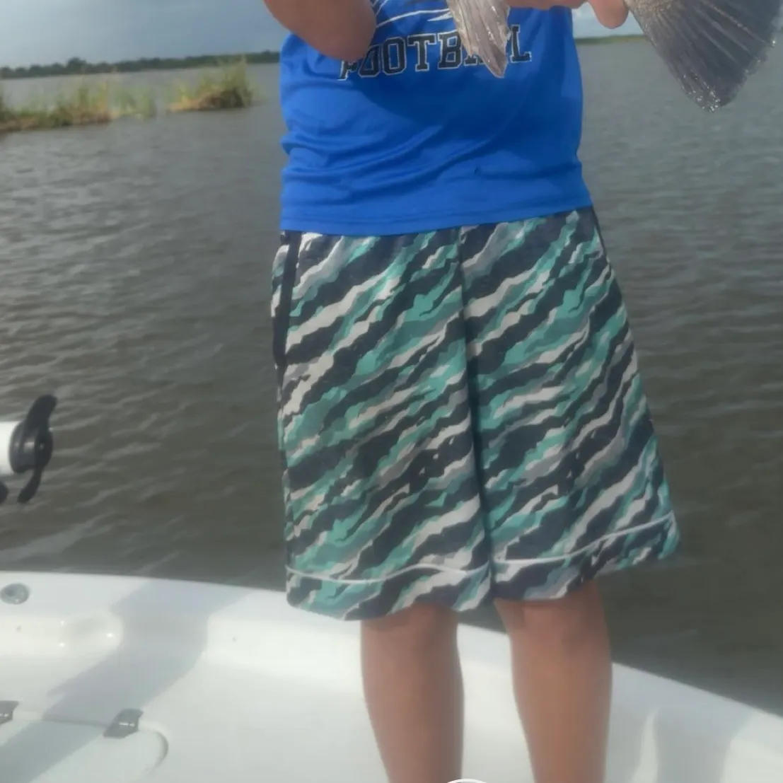 Black drum caught on Fishbrain