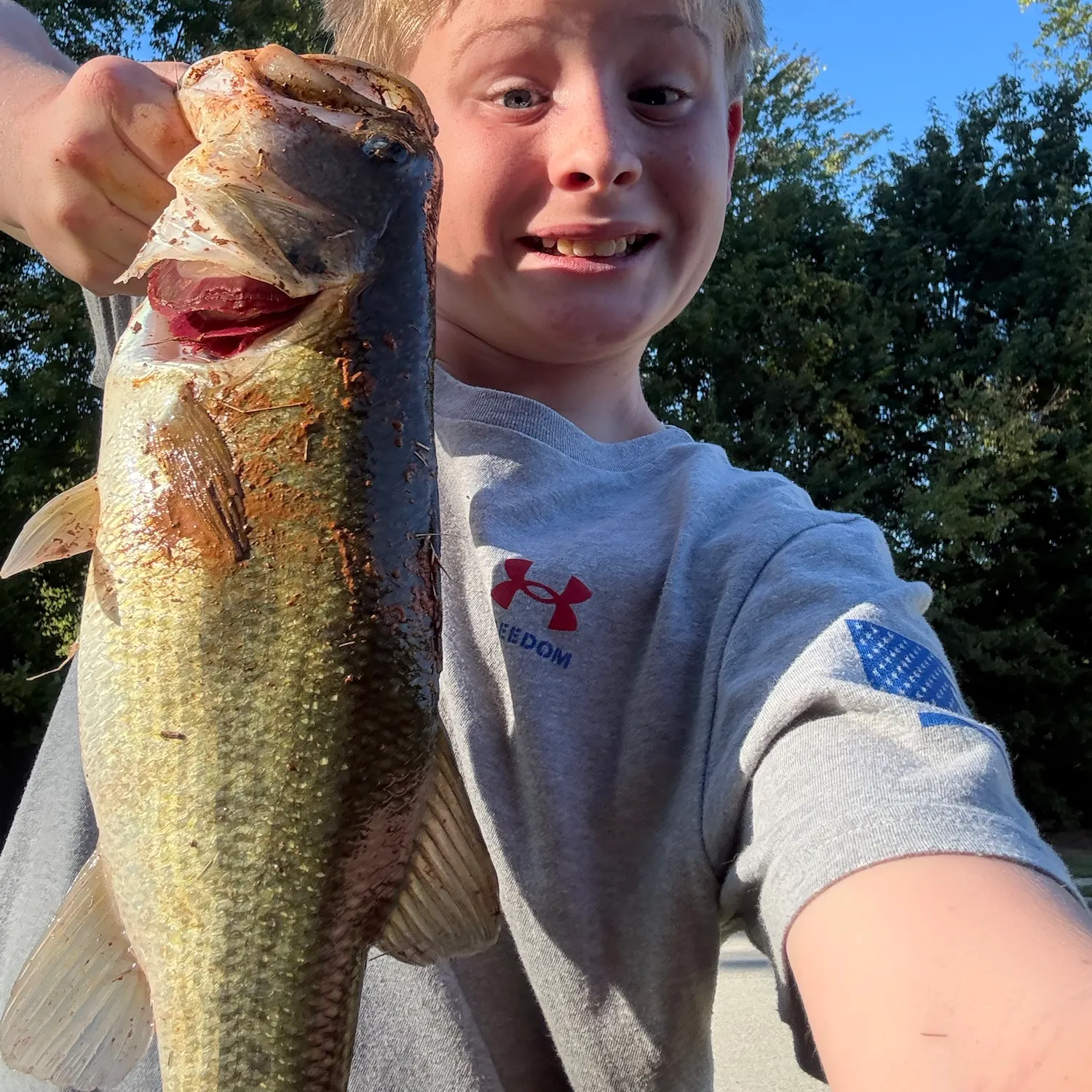 Largemouth bass caught on Fishbrain
