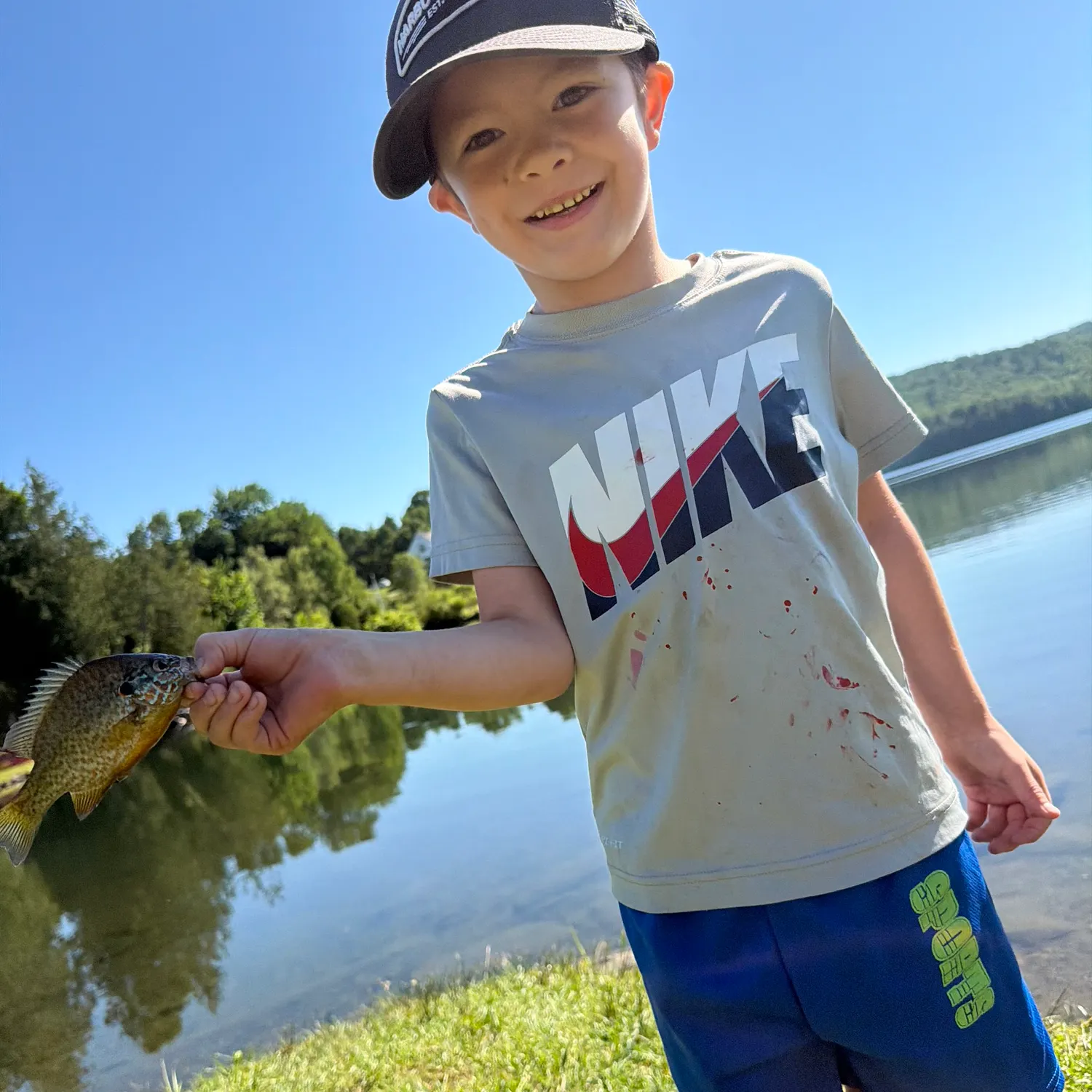 Bluegill caught on Fishbrain