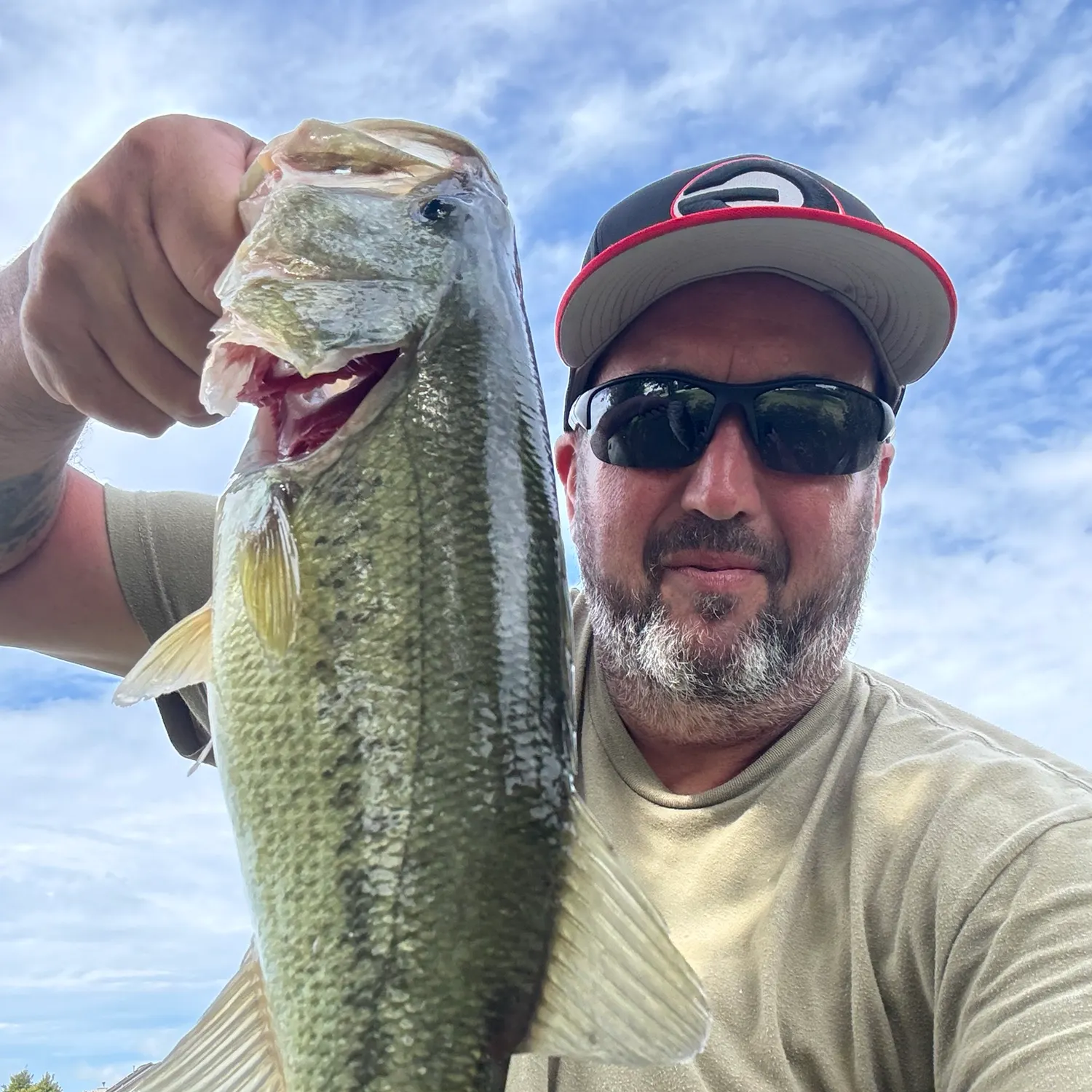 Largemouth bass caught on Fishbrain