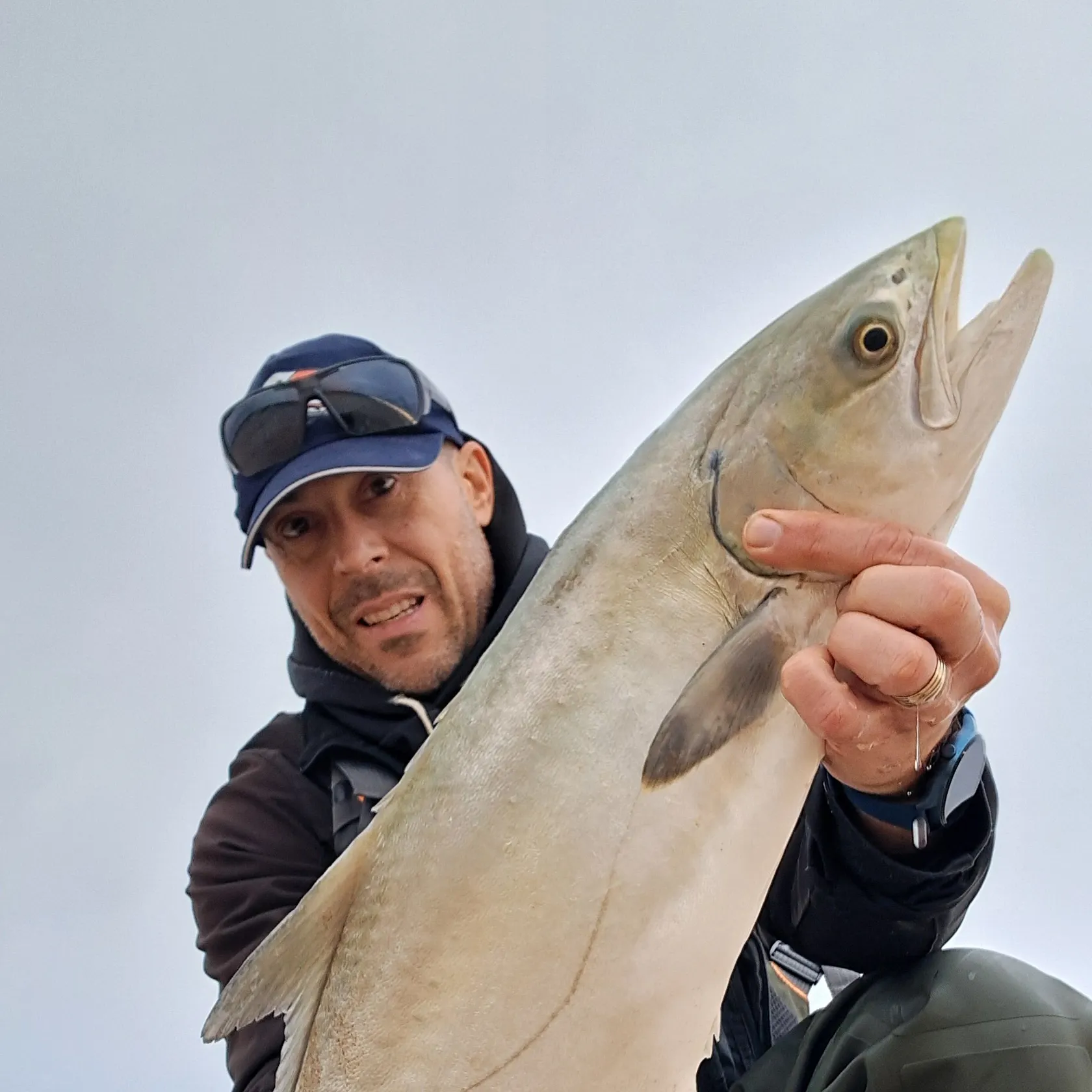 The most recent Leerfish catches on Fishbrain