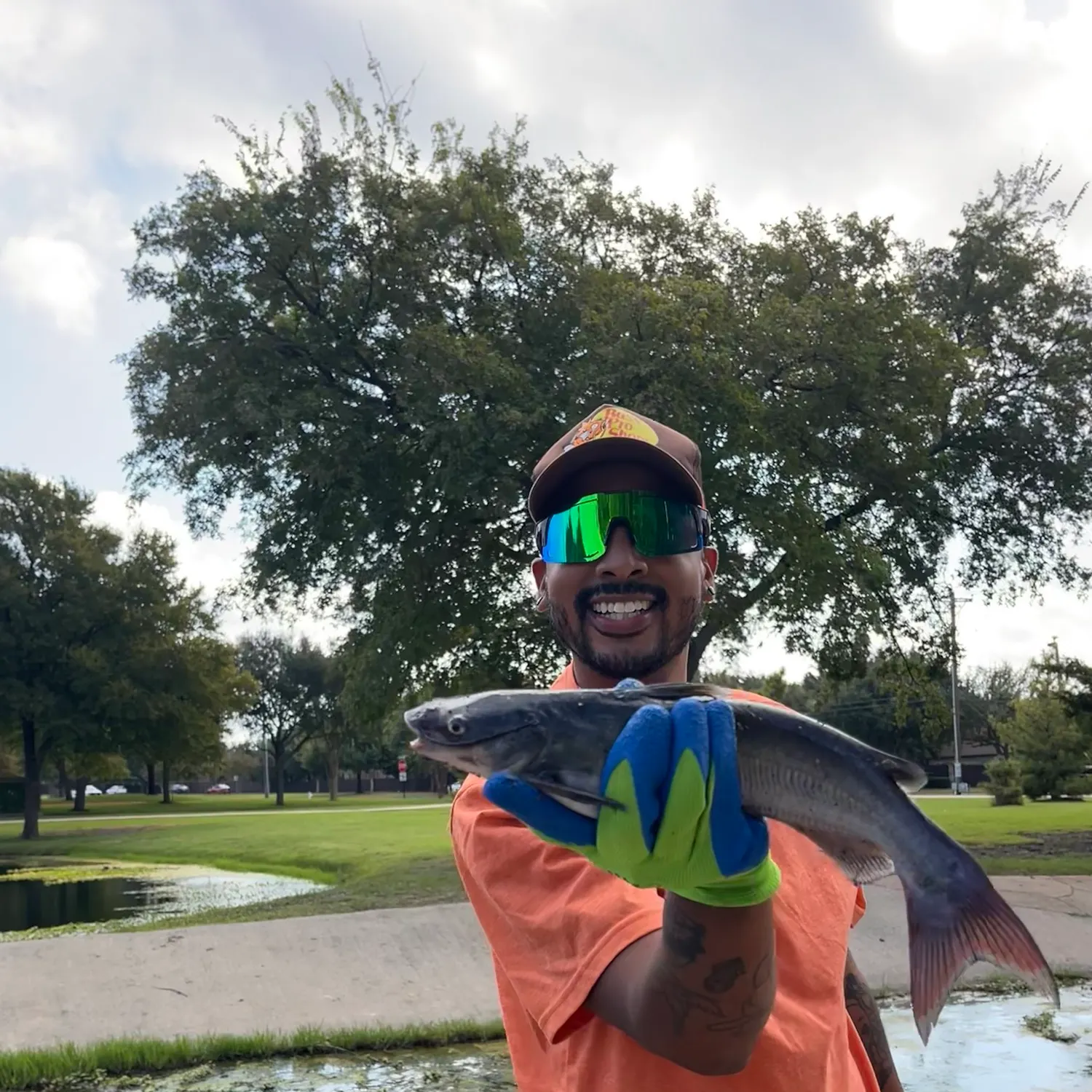 catch