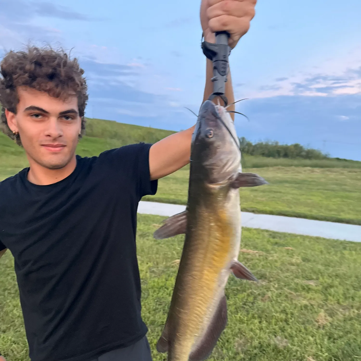 Channel catfish caught on Fishbrain