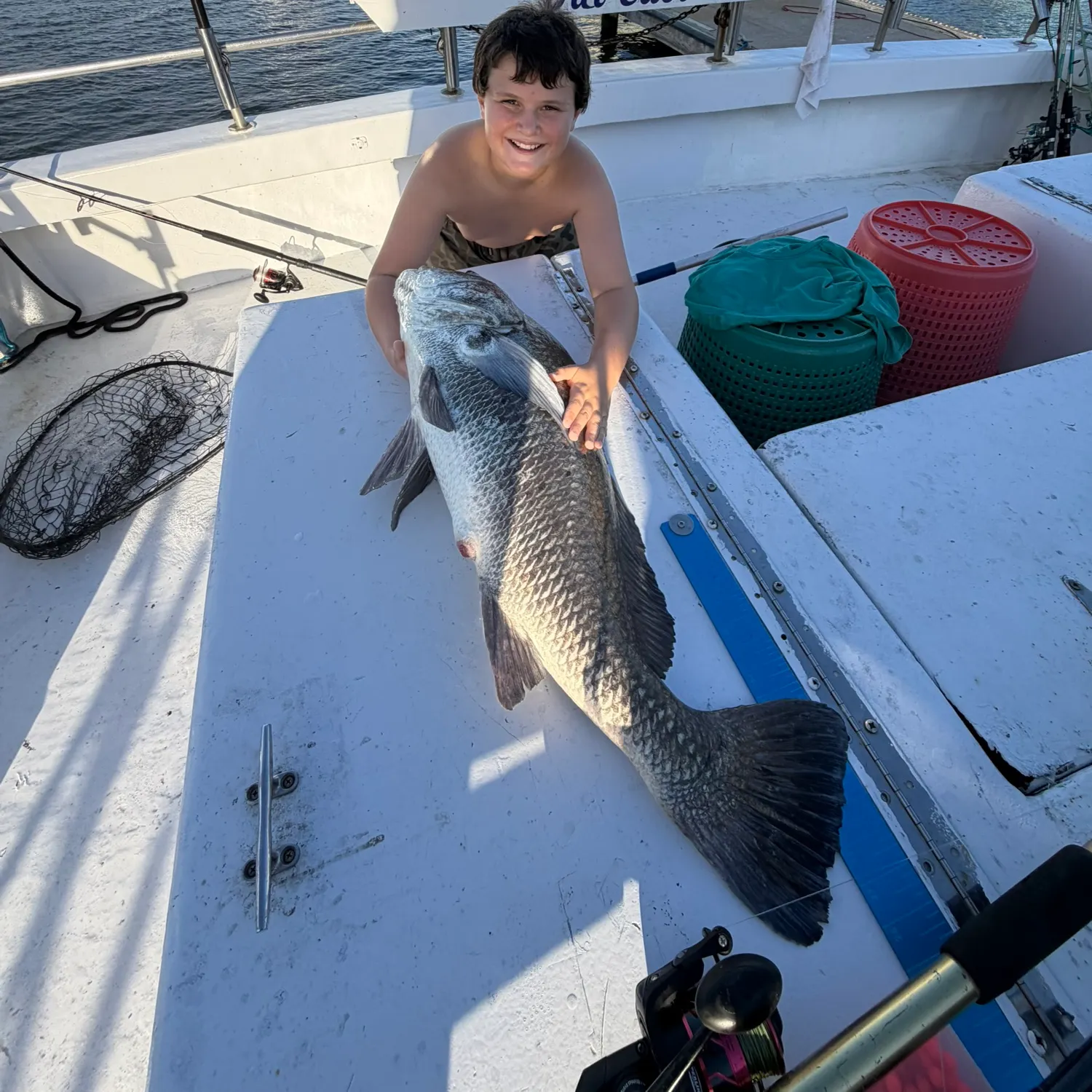 Black drum caught on Fishbrain