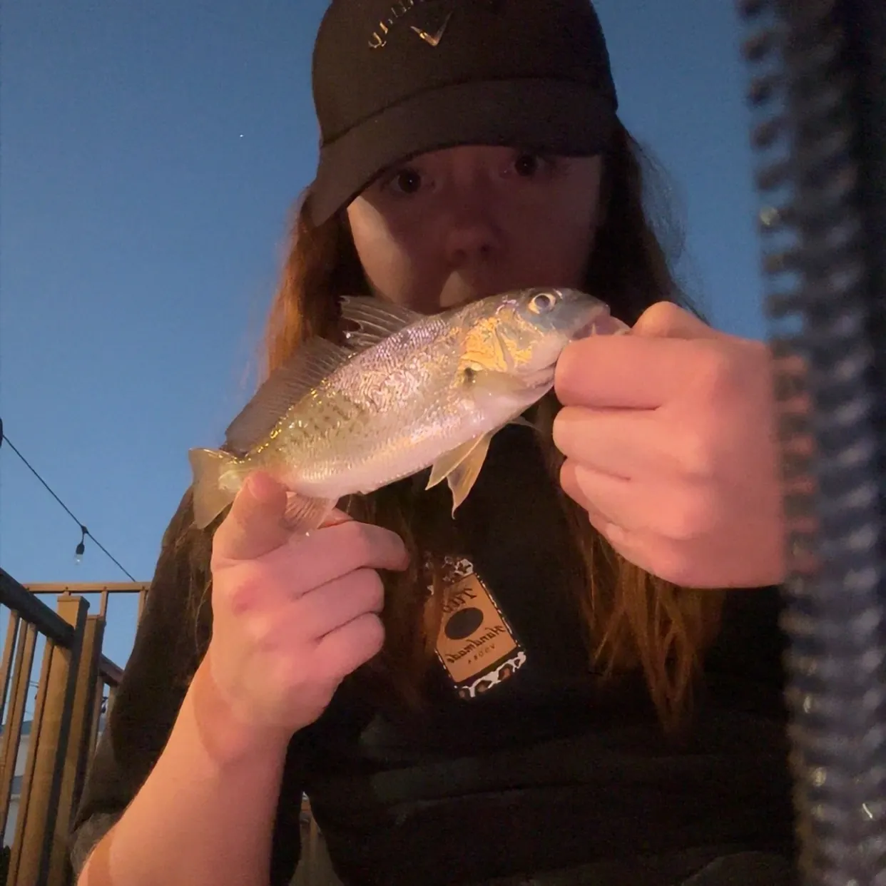 The most recent Atlantic croaker catches on Fishbrain