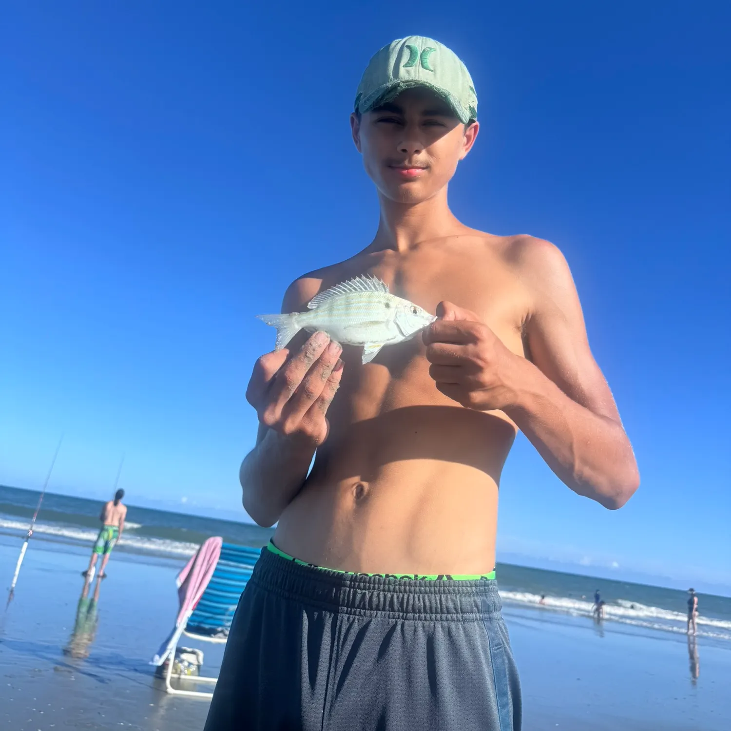 Pinfish caught on Fishbrain