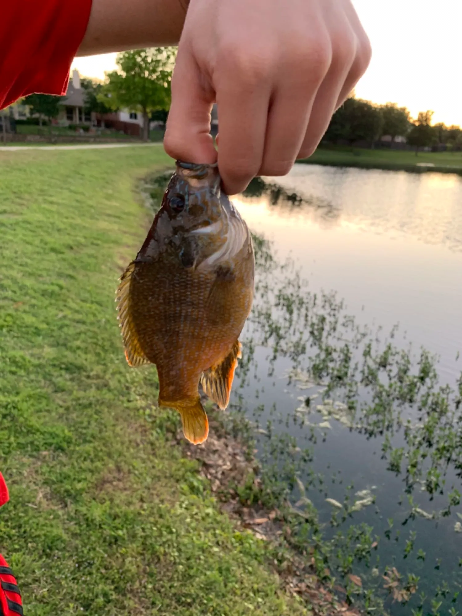 Post image from szgadzaj