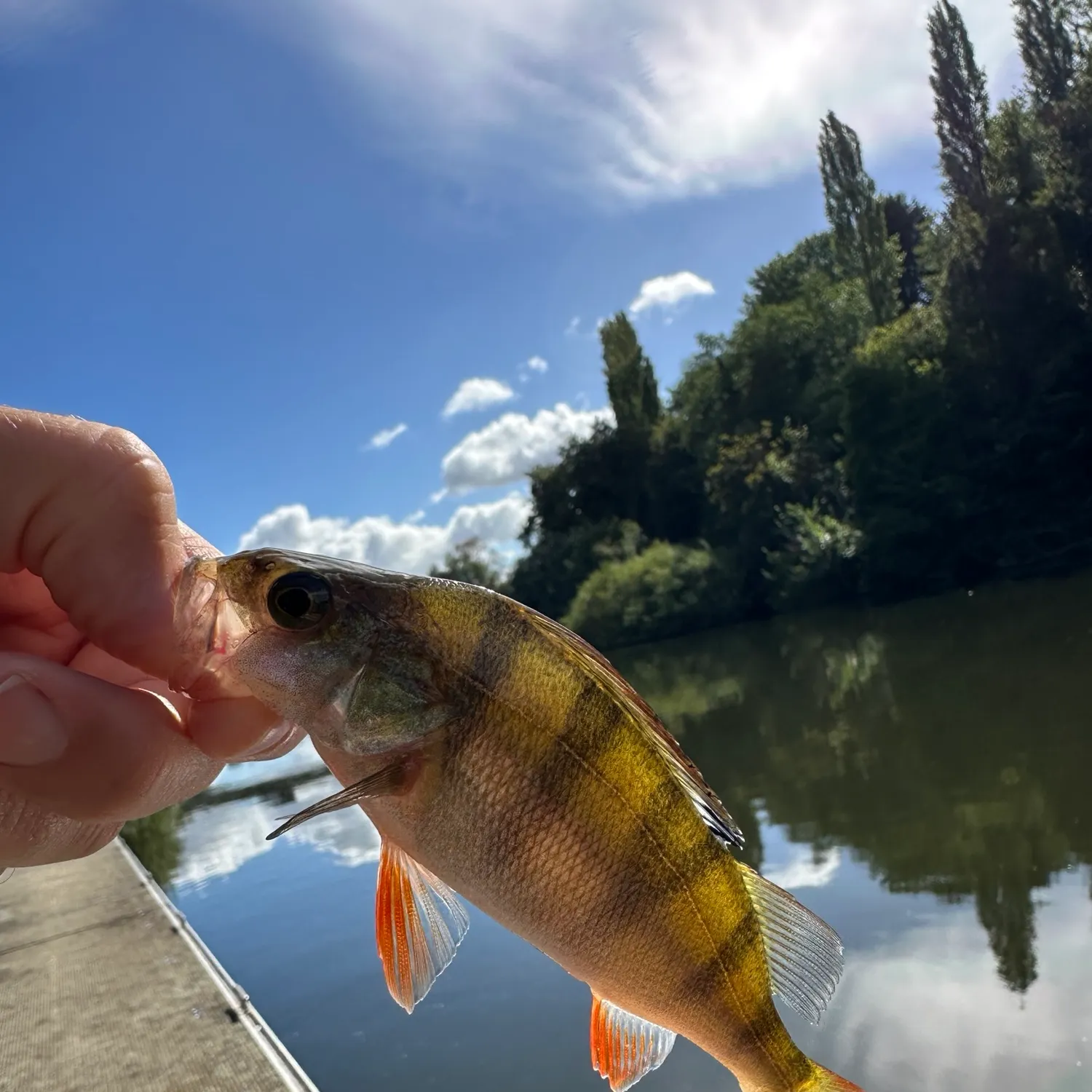 catch