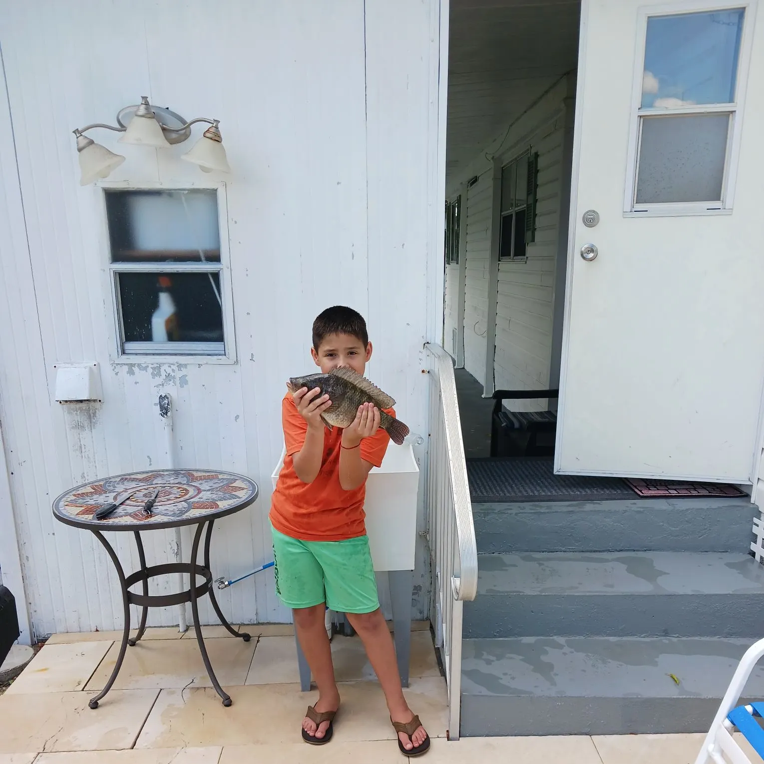 The most recent Nile tilapia catches on Fishbrain