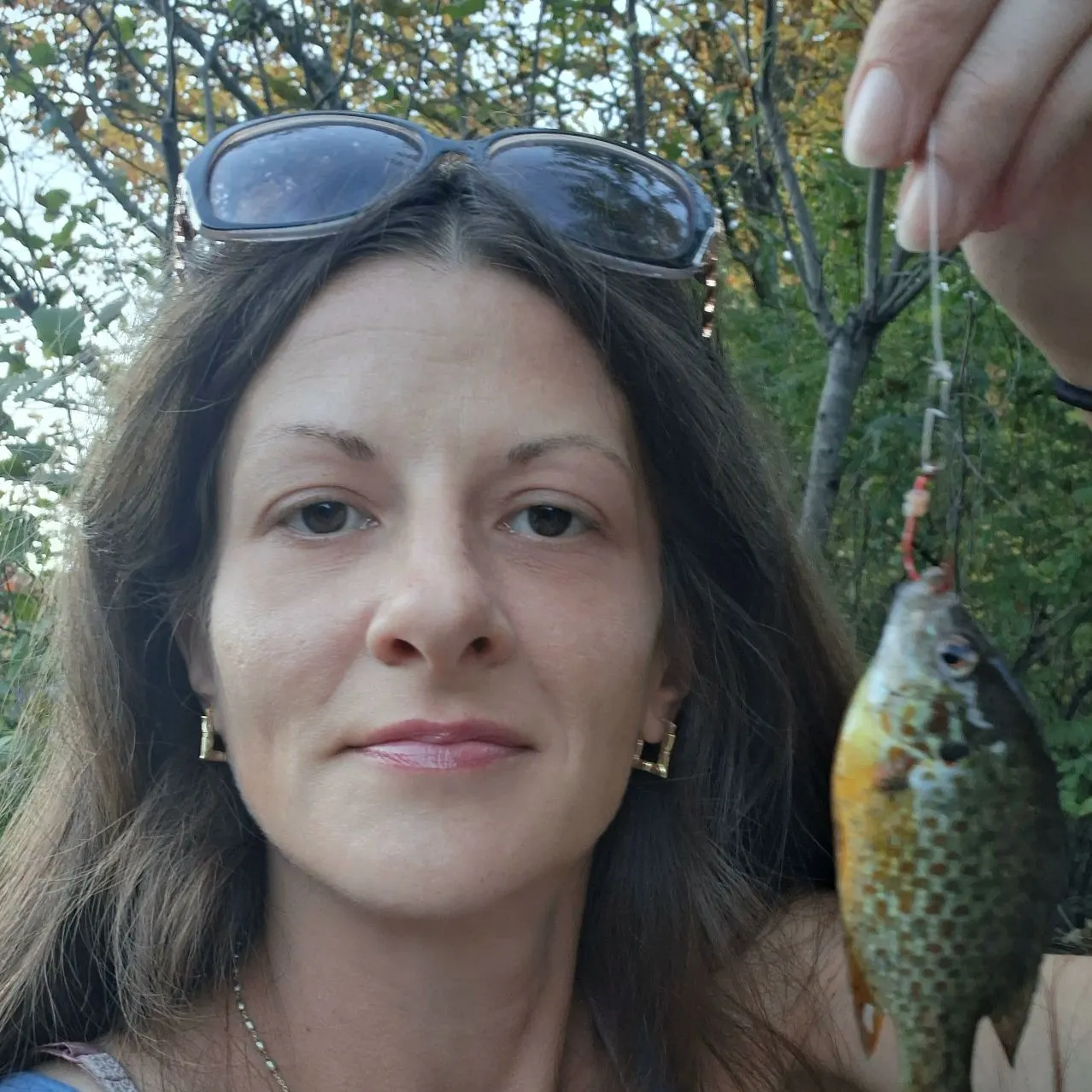 Pumpkingill hybrid caught on Fishbrain