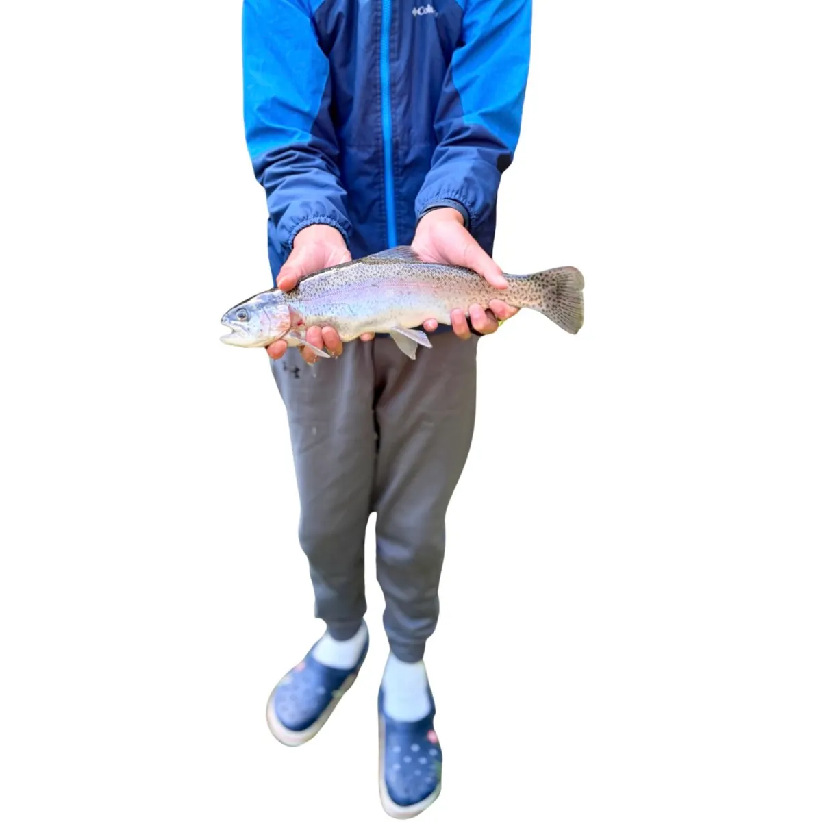 The most recent Rainbow trout catches on Fishbrain