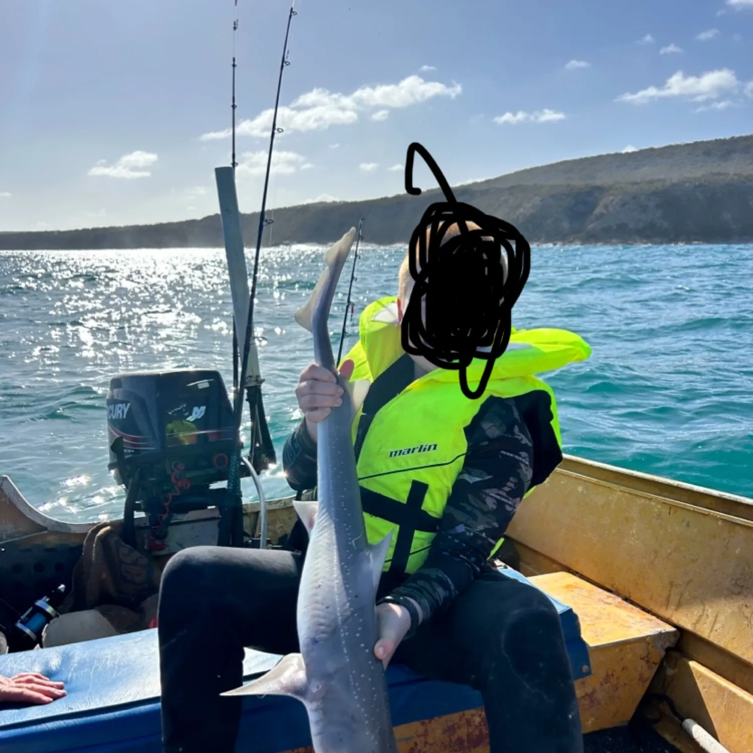 The most recent Gummy shark catches on Fishbrain