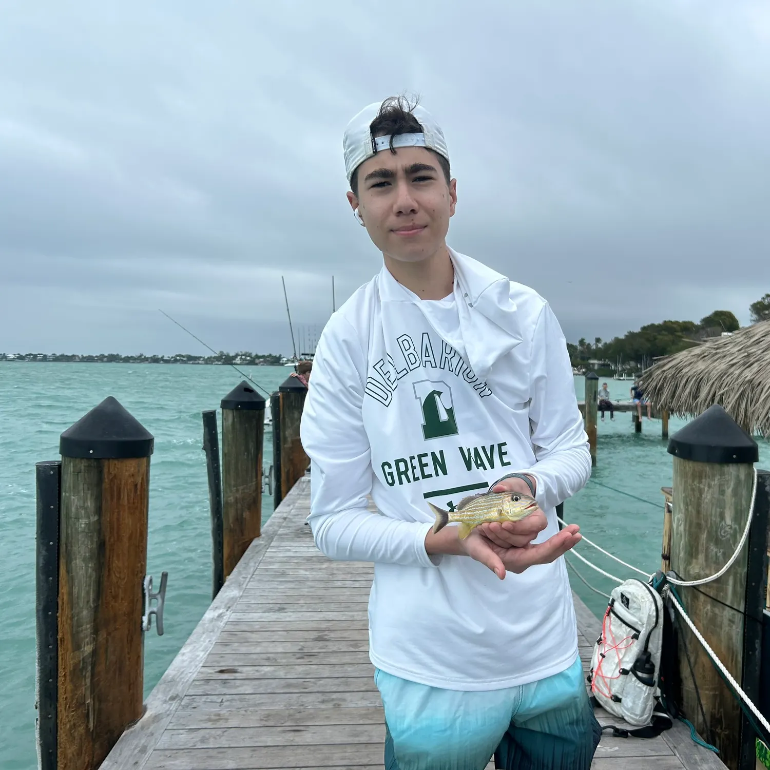 The most recent Bluestriped grunt catches on Fishbrain