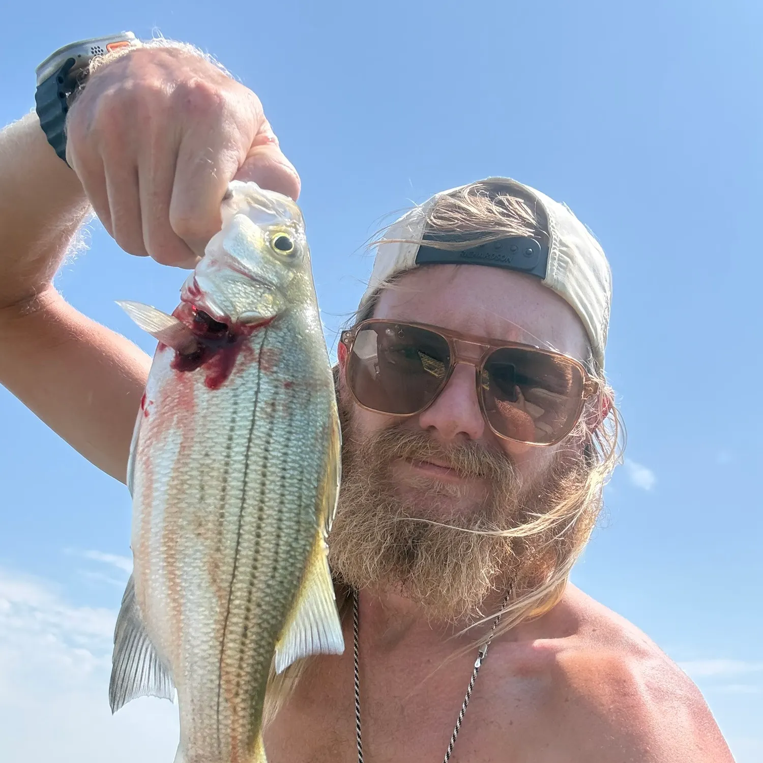 Wiper caught on Fishbrain