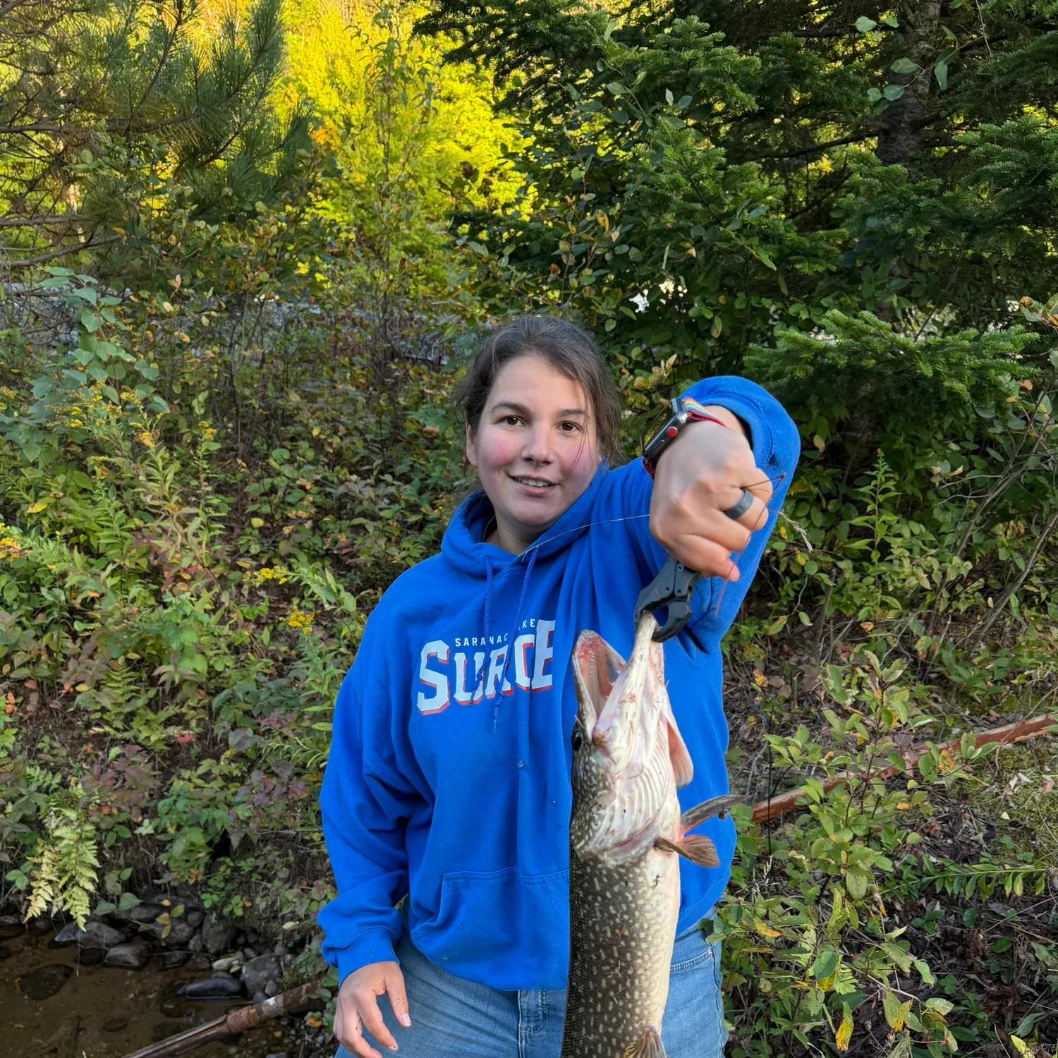 Northern pike caught on Fishbrain
