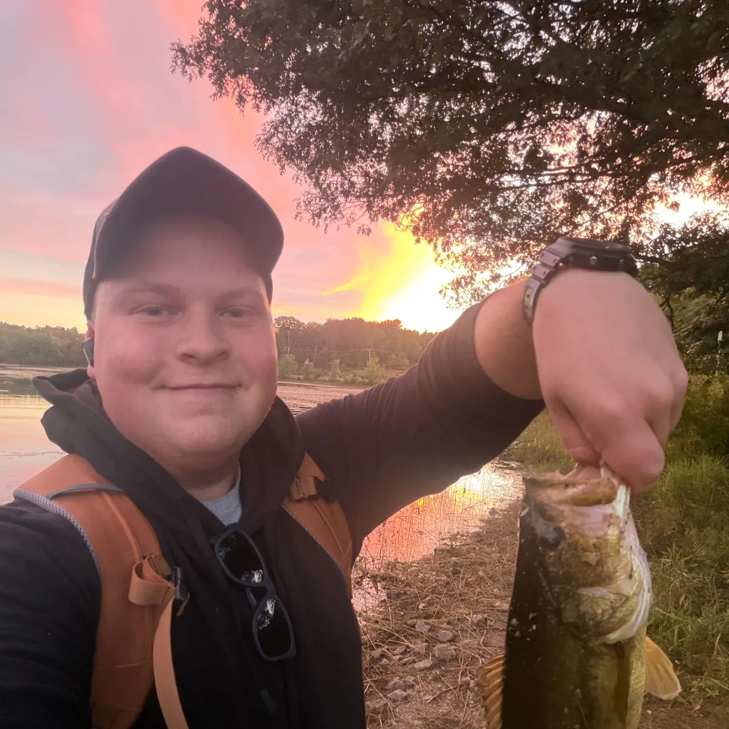 Largemouth bass caught on Fishbrain