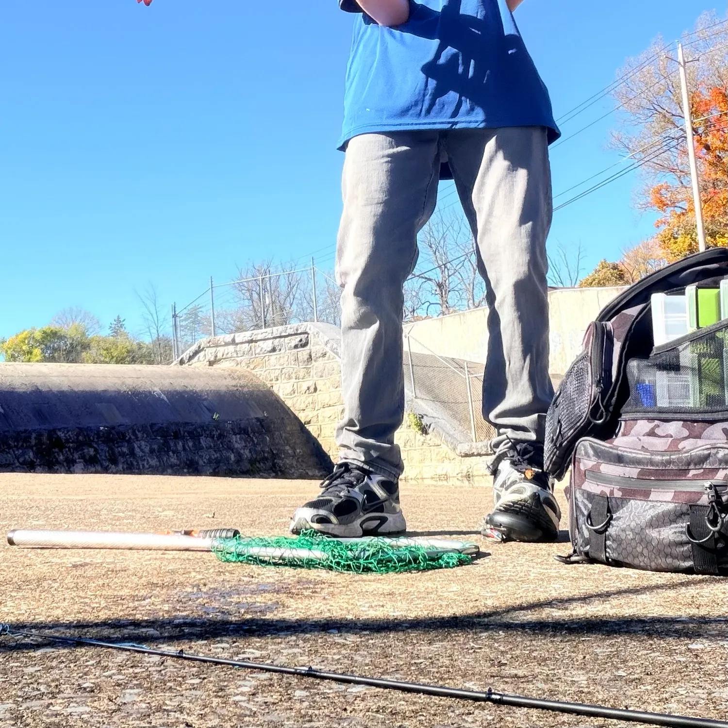 The most recent Tiger muskie catches on Fishbrain