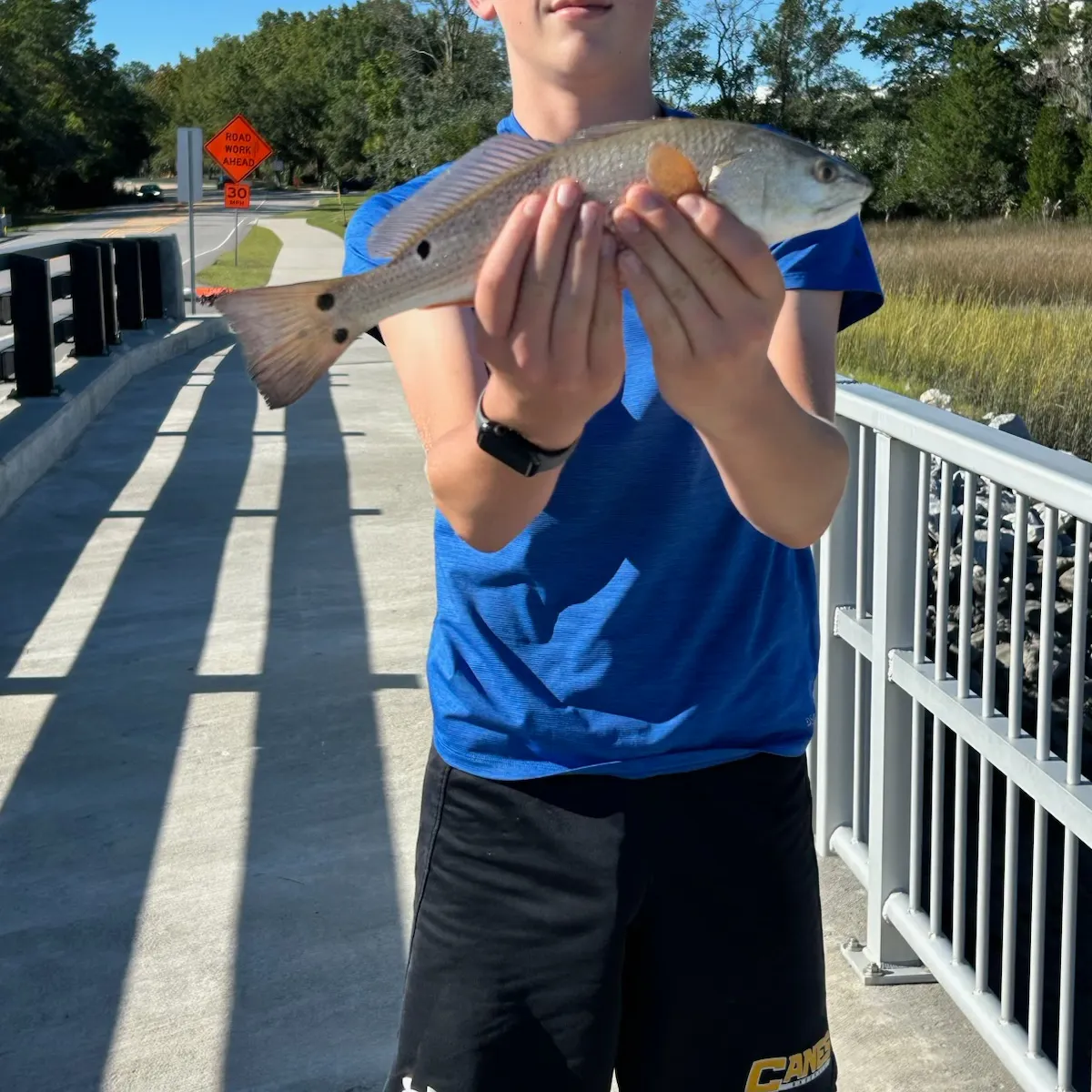 Red drum caught on Fishbrain