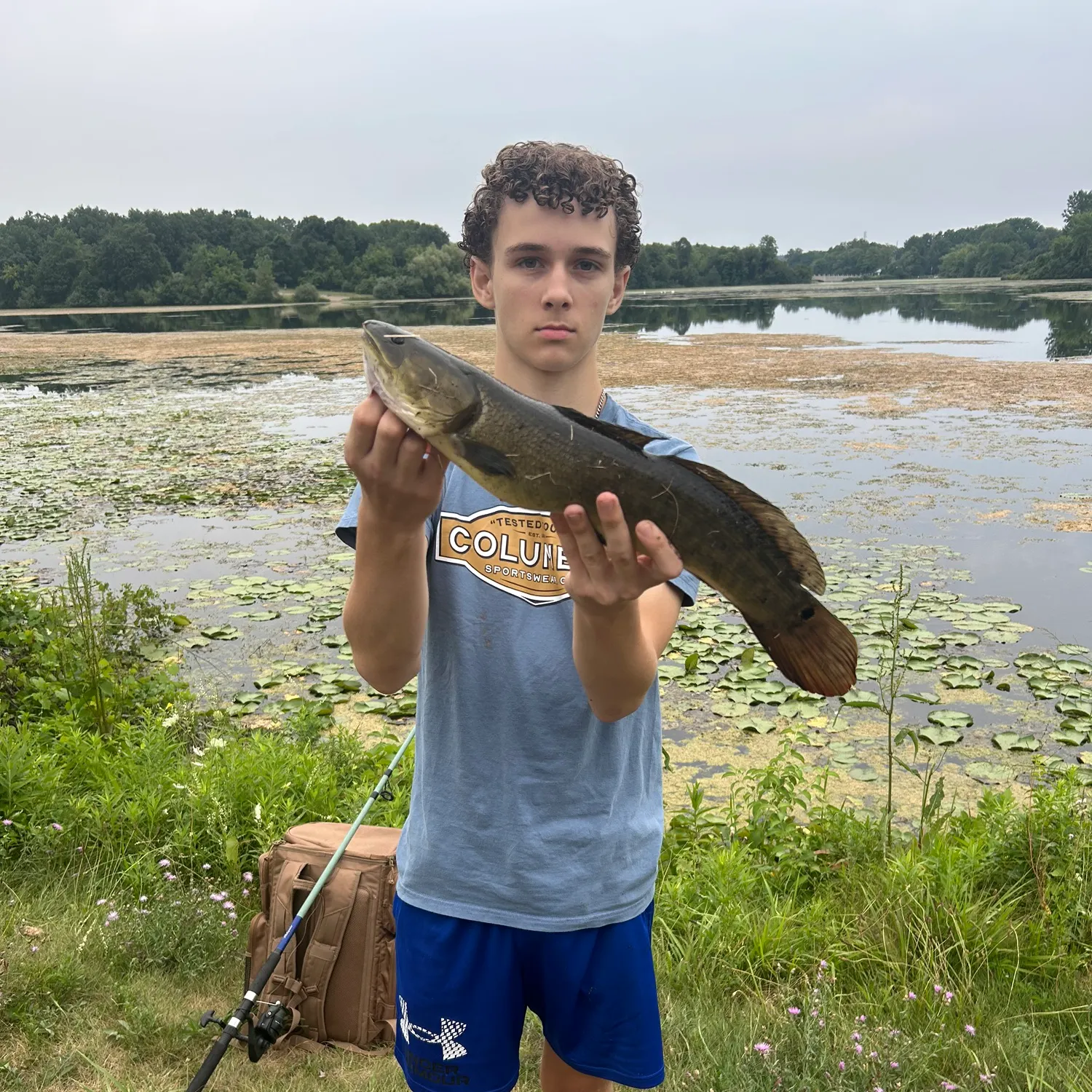 The most recent Eyetail bowfin catches on Fishbrain