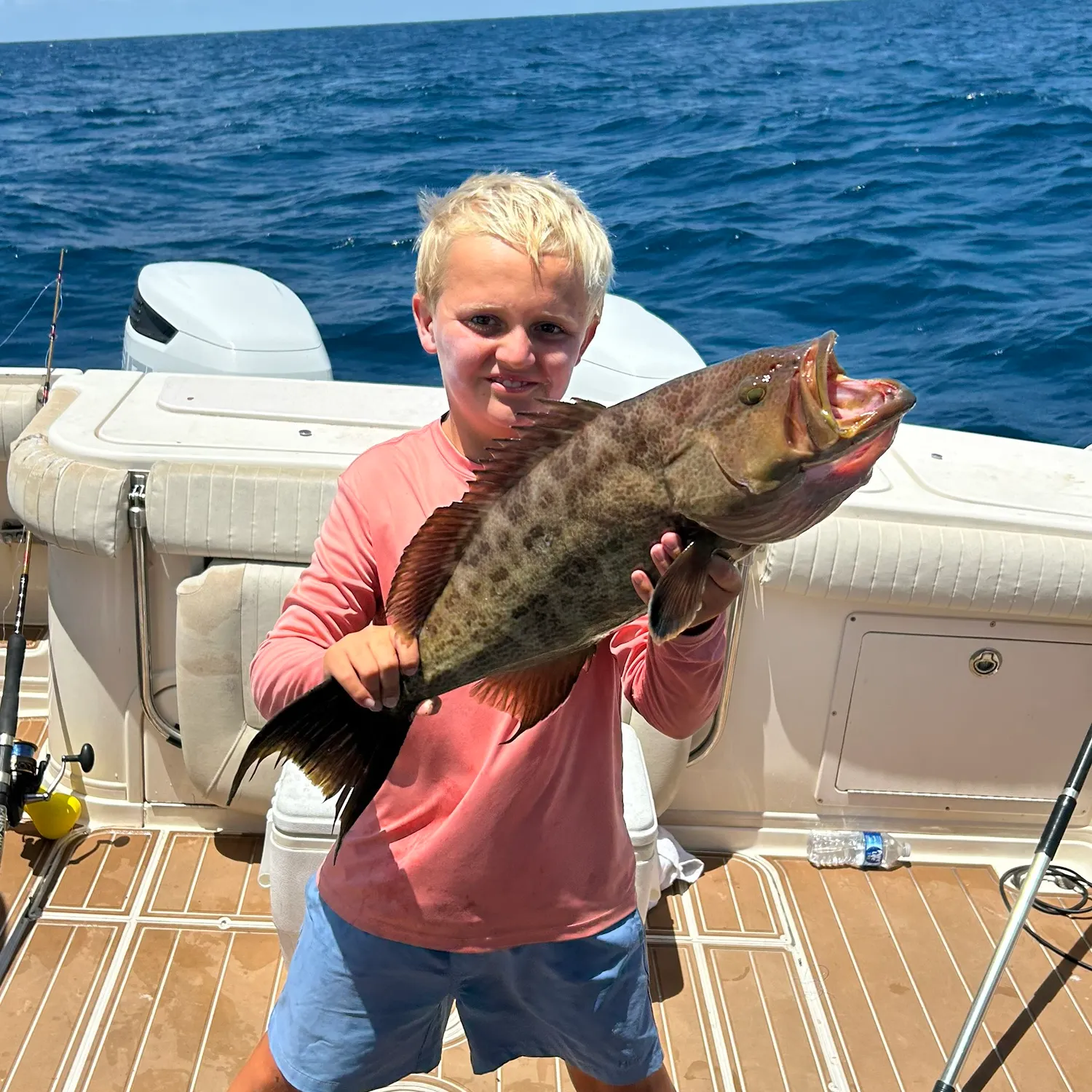 The most recent Scamp grouper catches on Fishbrain