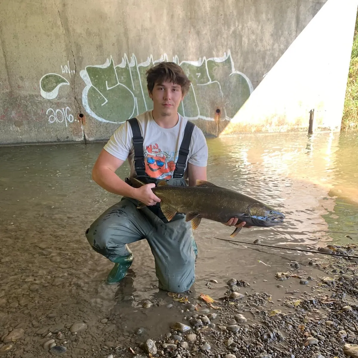 Chinook salmon caught on Fishbrain