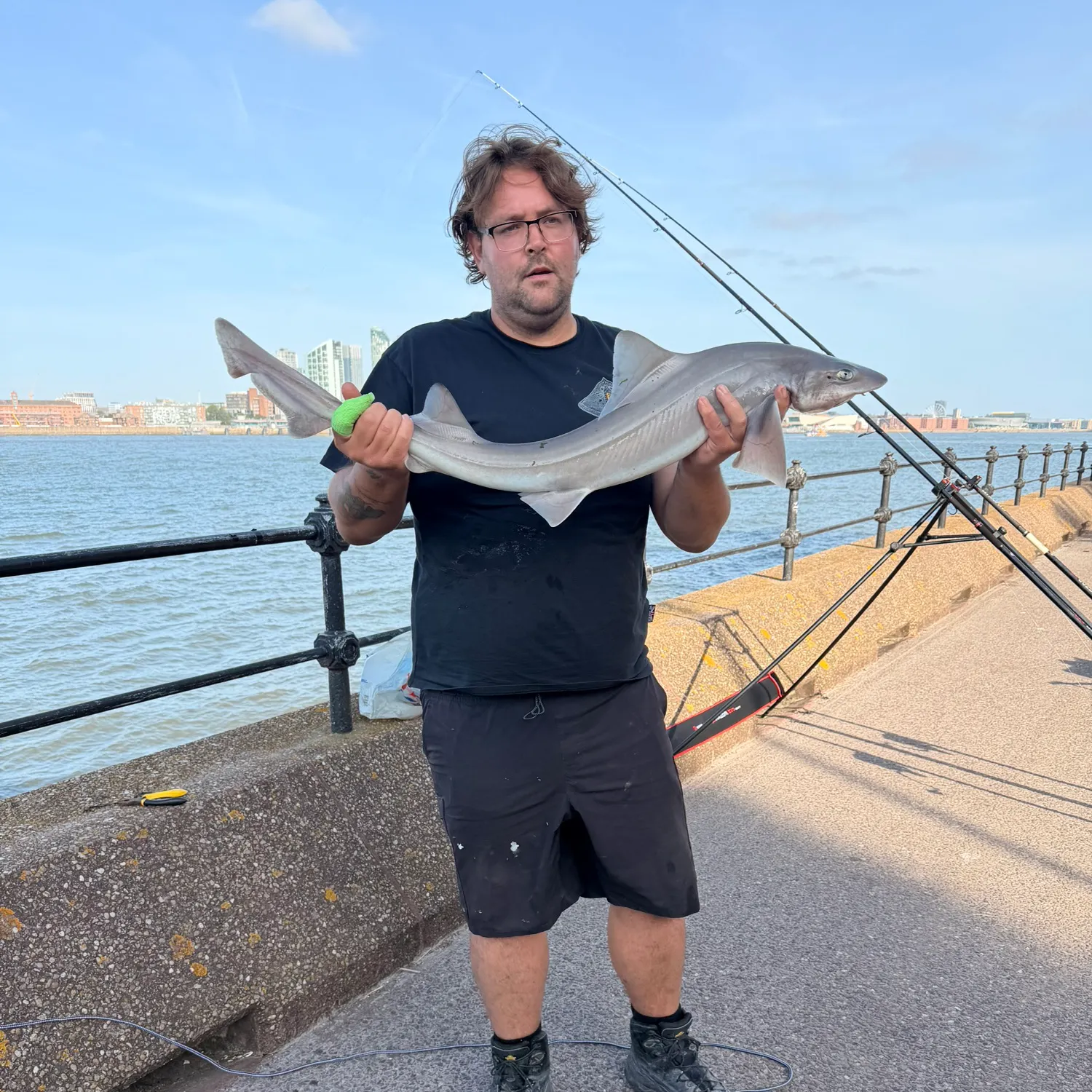 The most recent Starry smooth-hound catches on Fishbrain