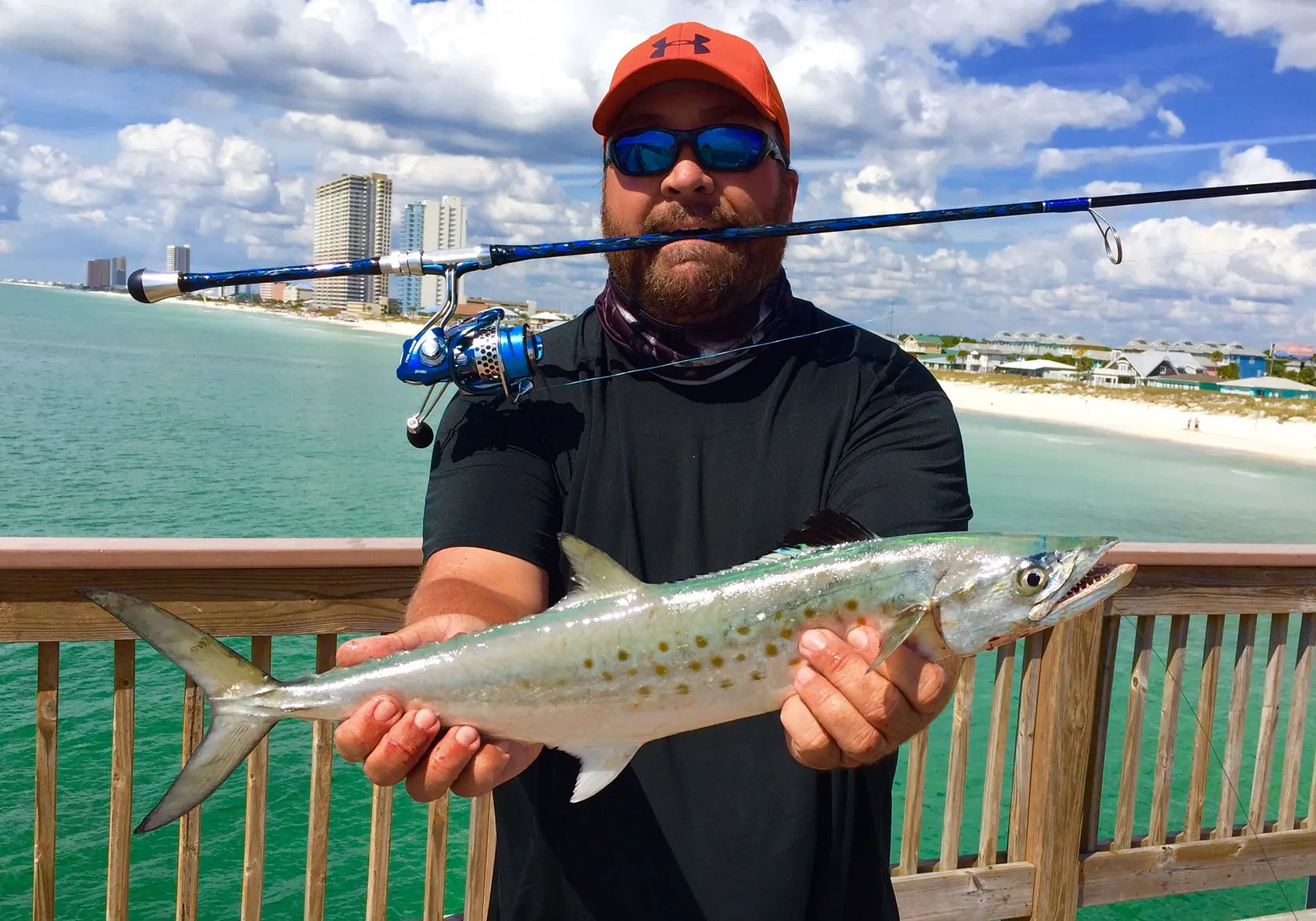 Spanish mackerel