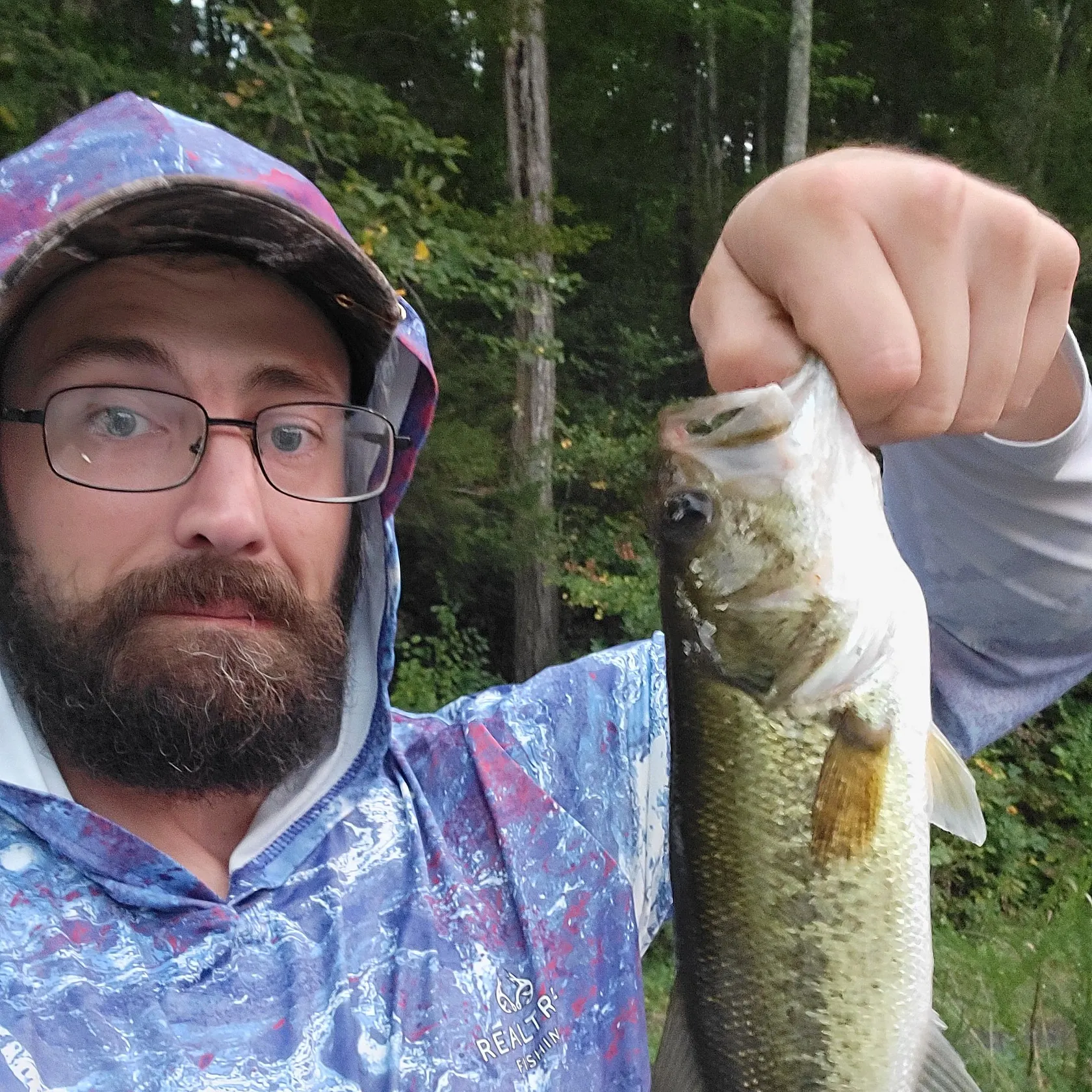 Largemouth bass caught on Fishbrain