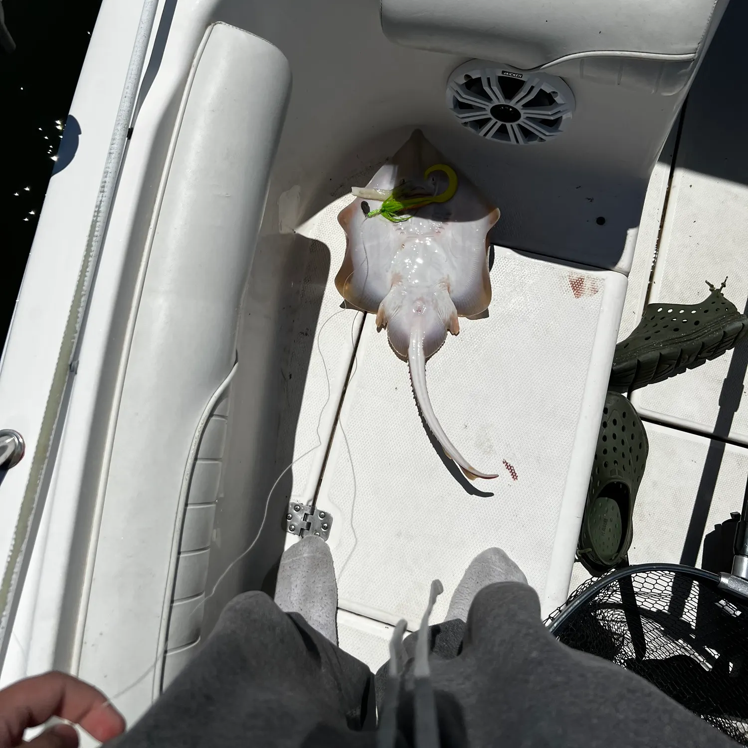 catch