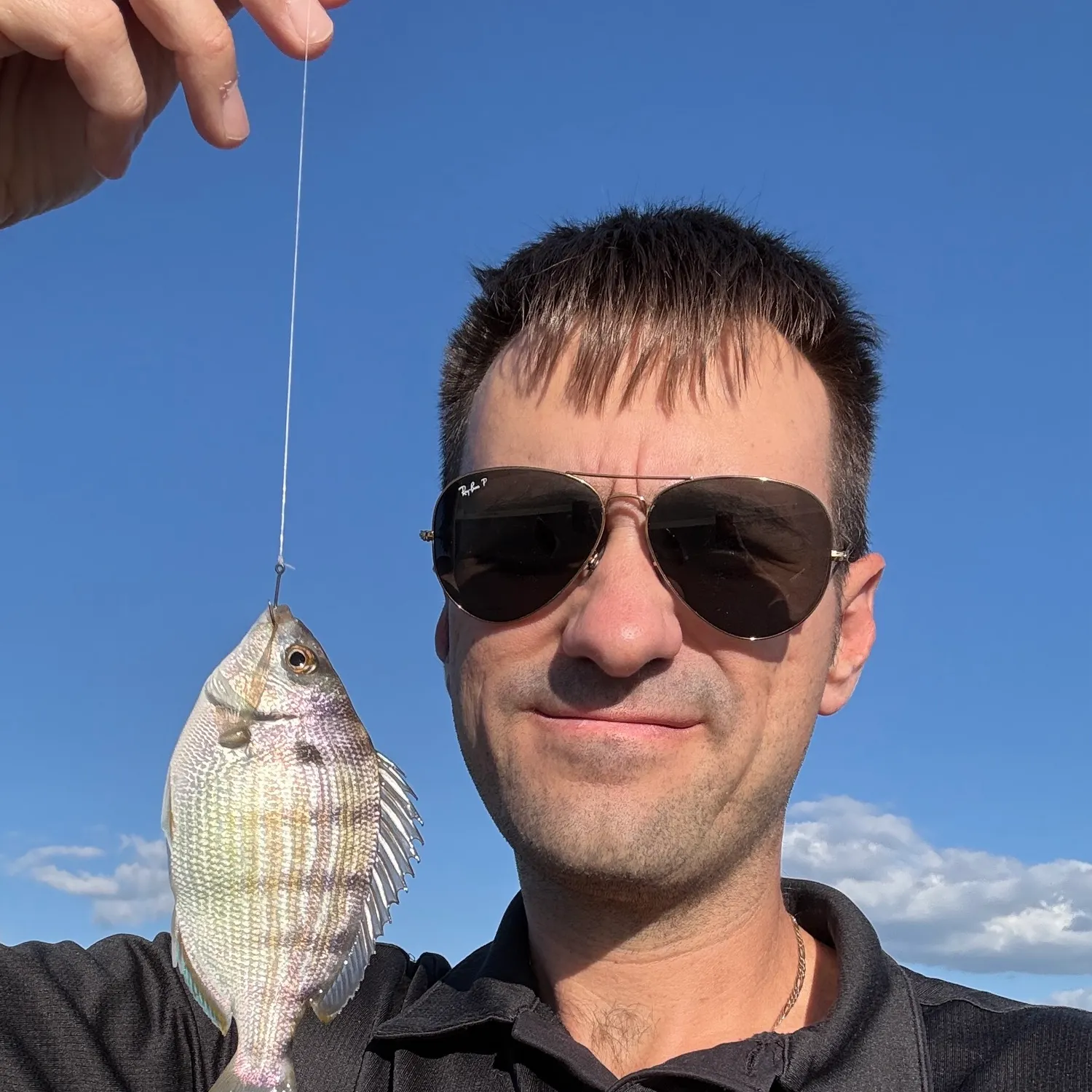 Pinfish caught on Fishbrain