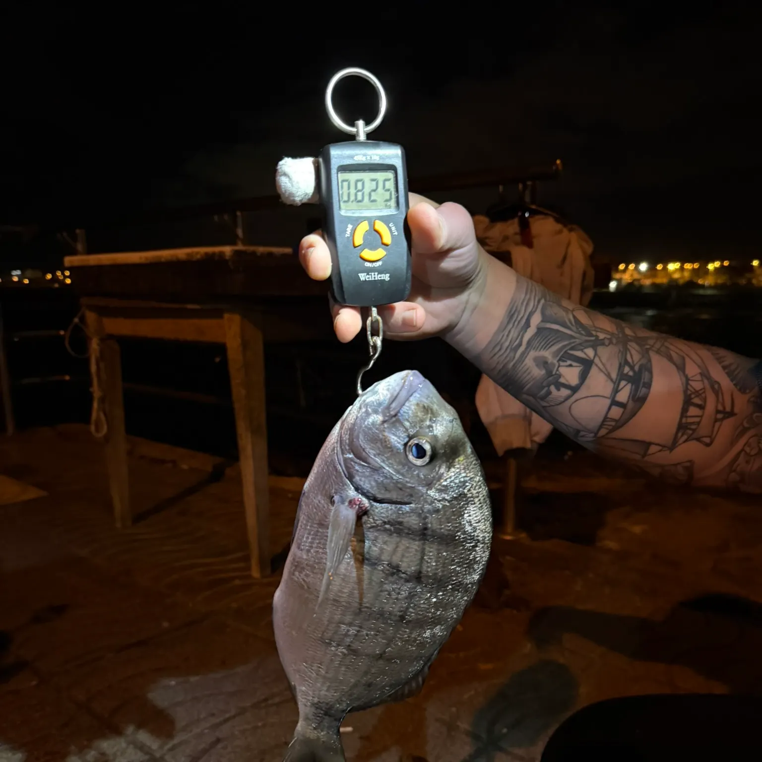 The most recent White seabream catches on Fishbrain