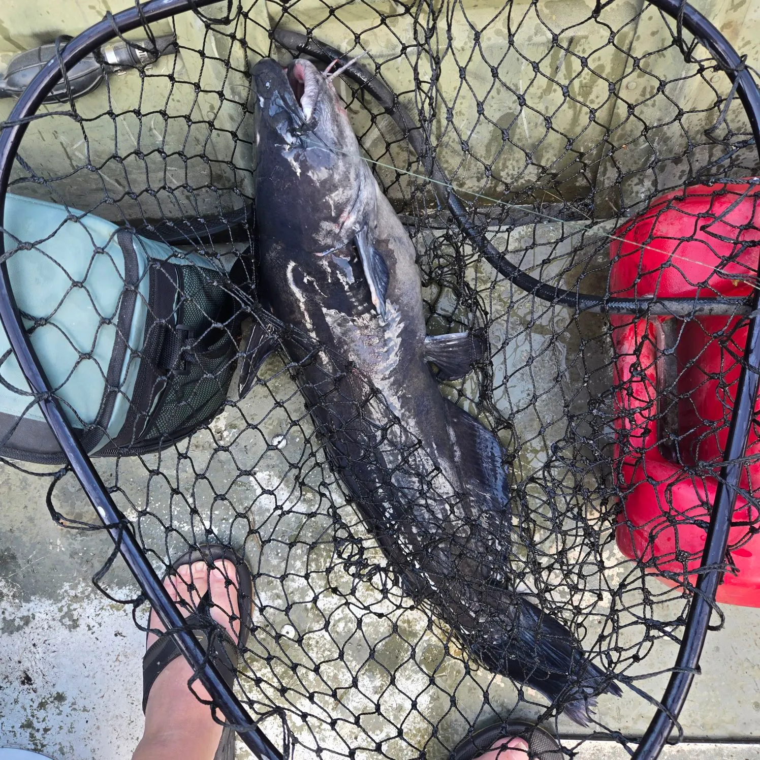 catch