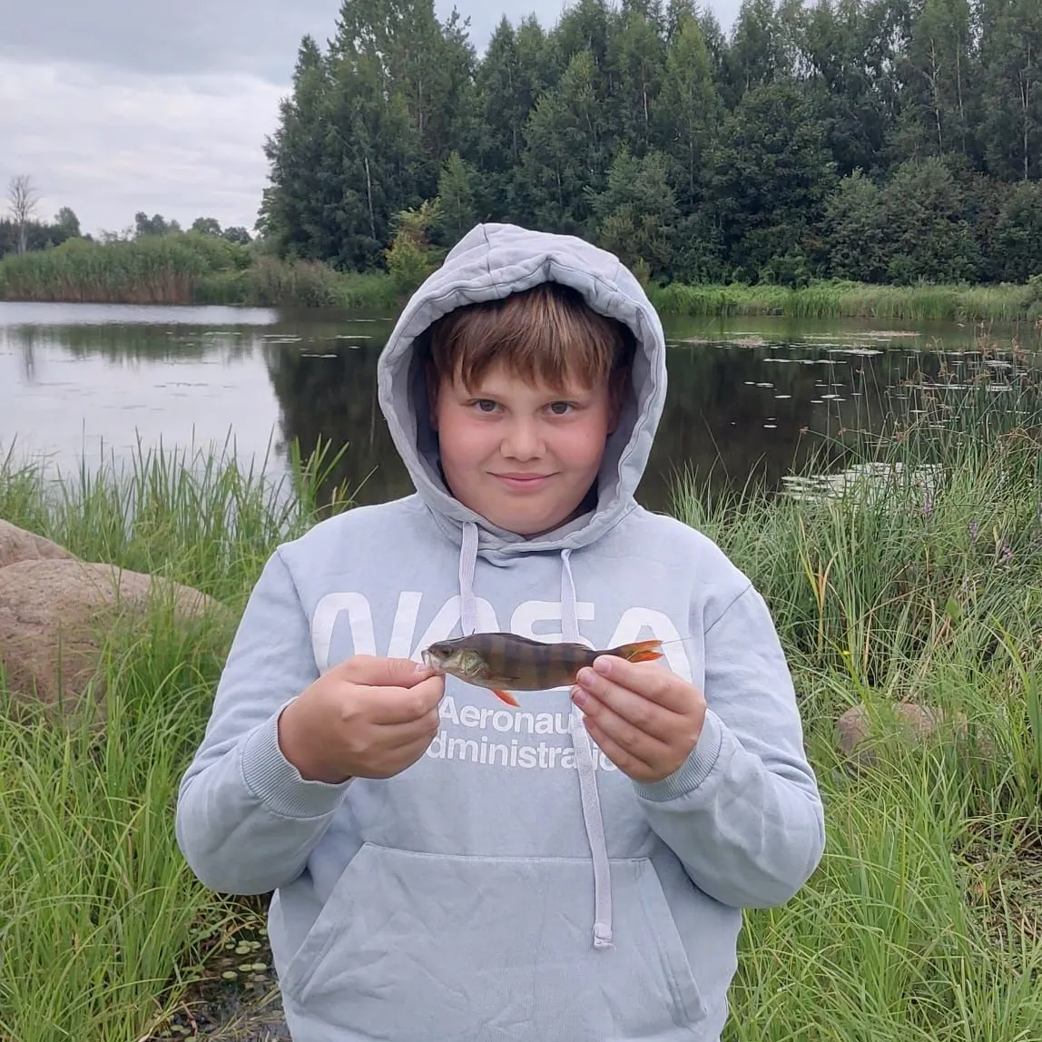 European perch caught on Fishbrain