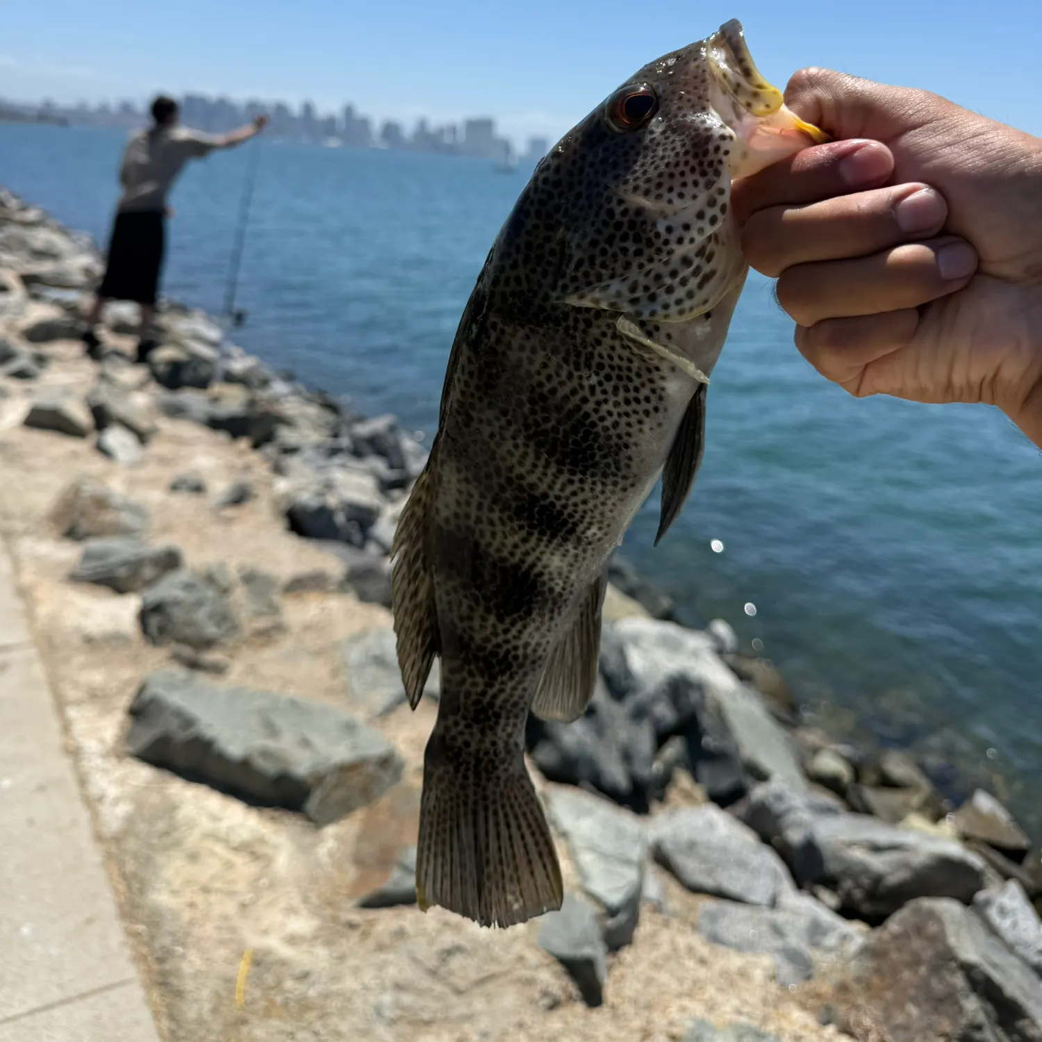 catch