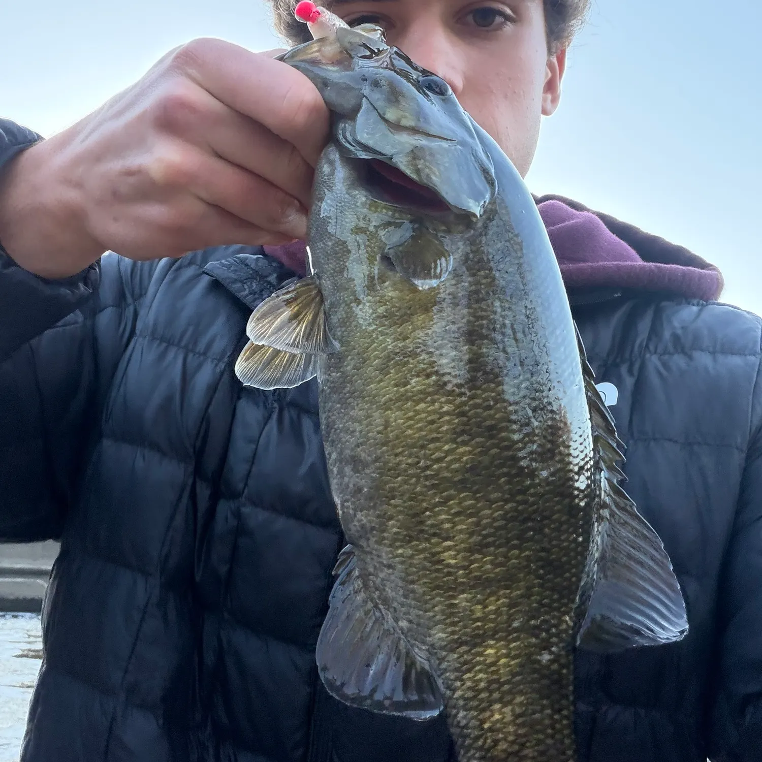 Smallmouth bass caught on Fishbrain