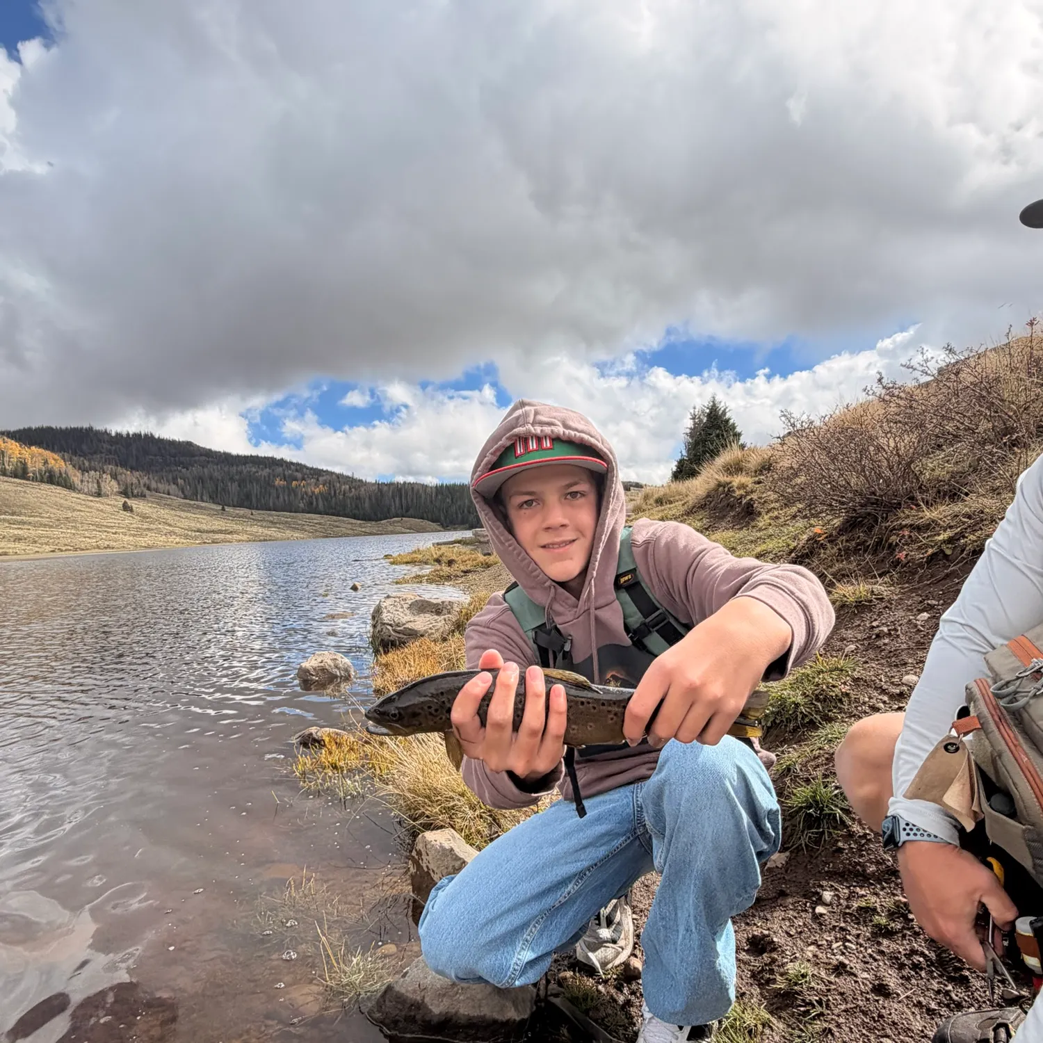 Brown trout caught on Fishbrain