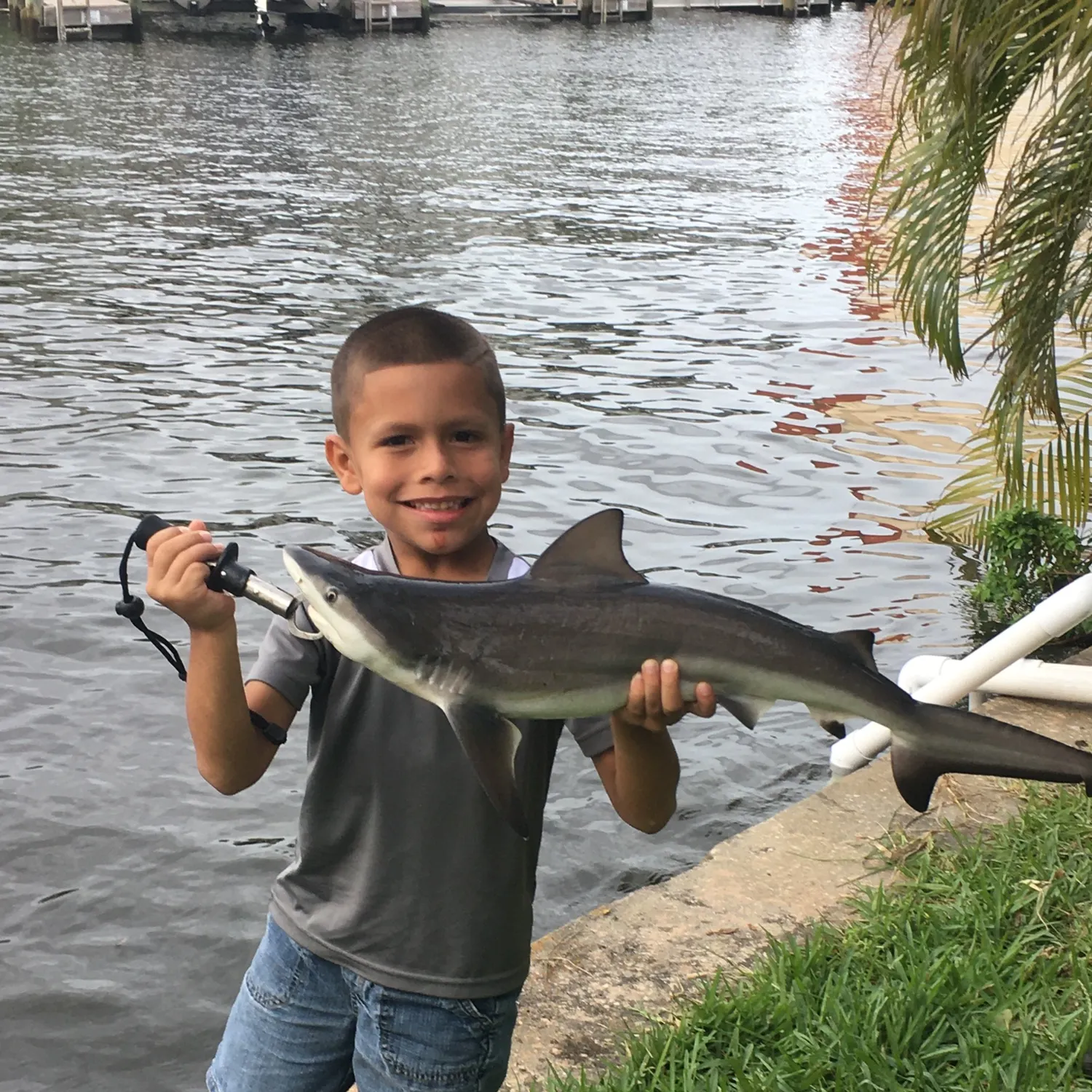 The most recent Blacktip shark catches on Fishbrain