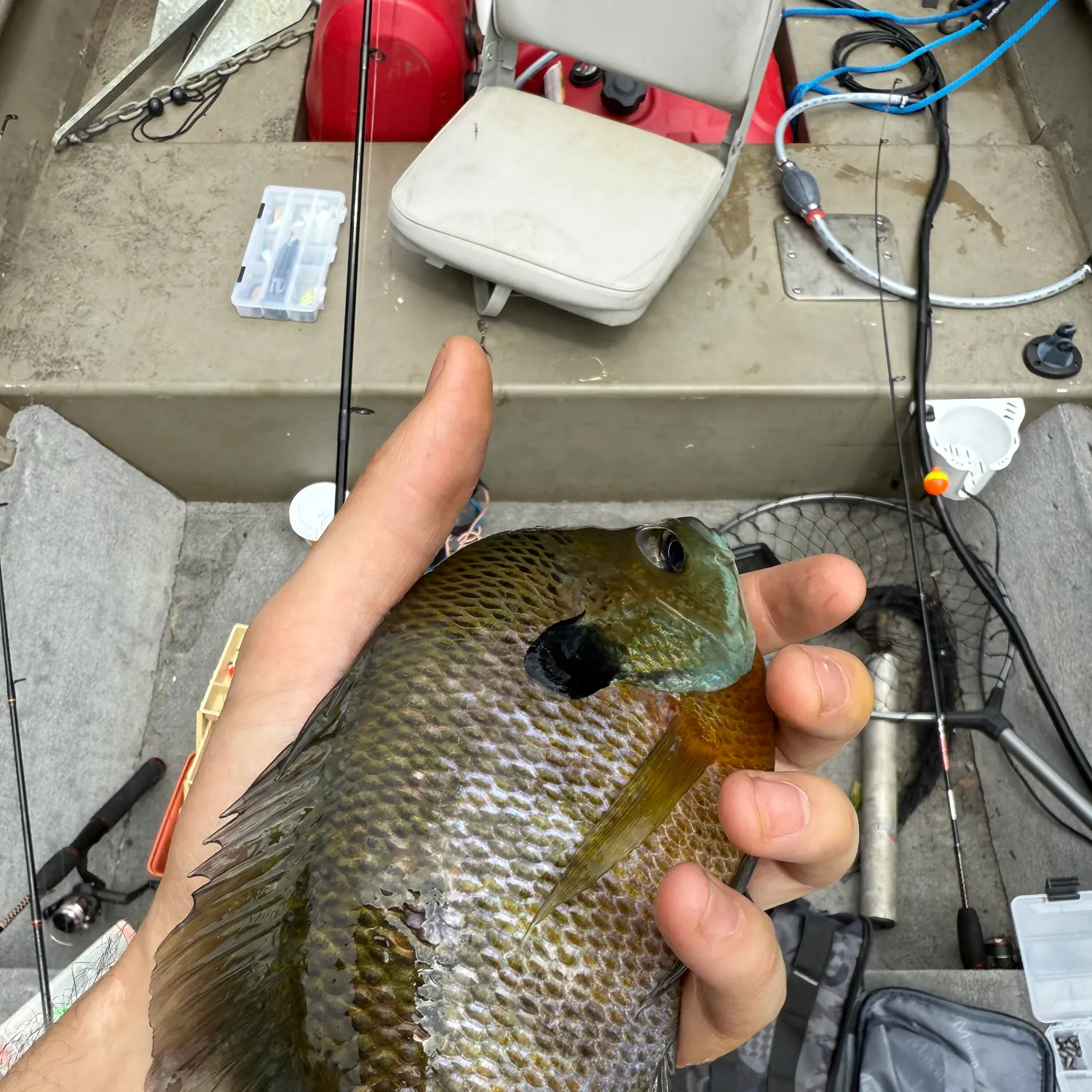catch