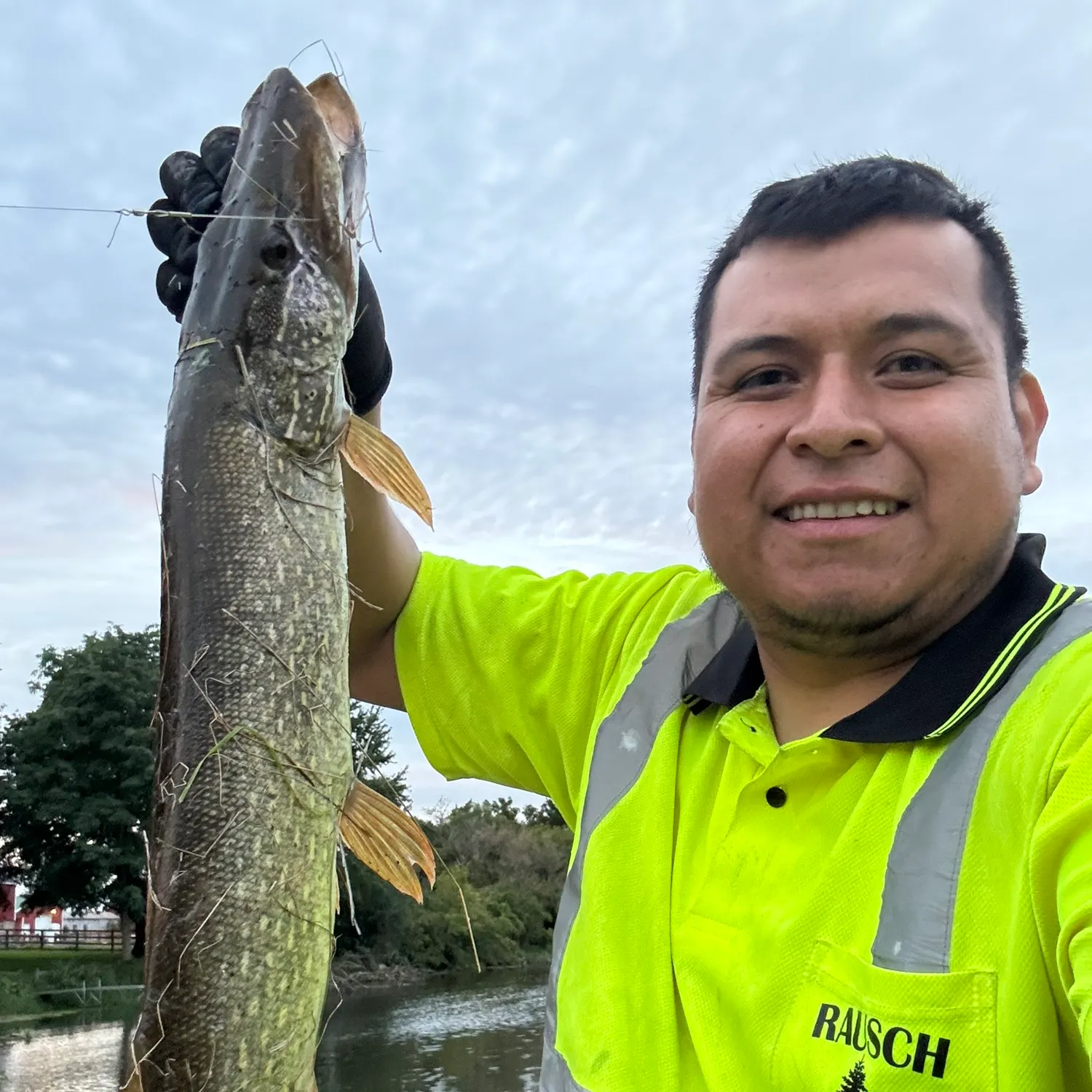 Northern pike caught on Fishbrain