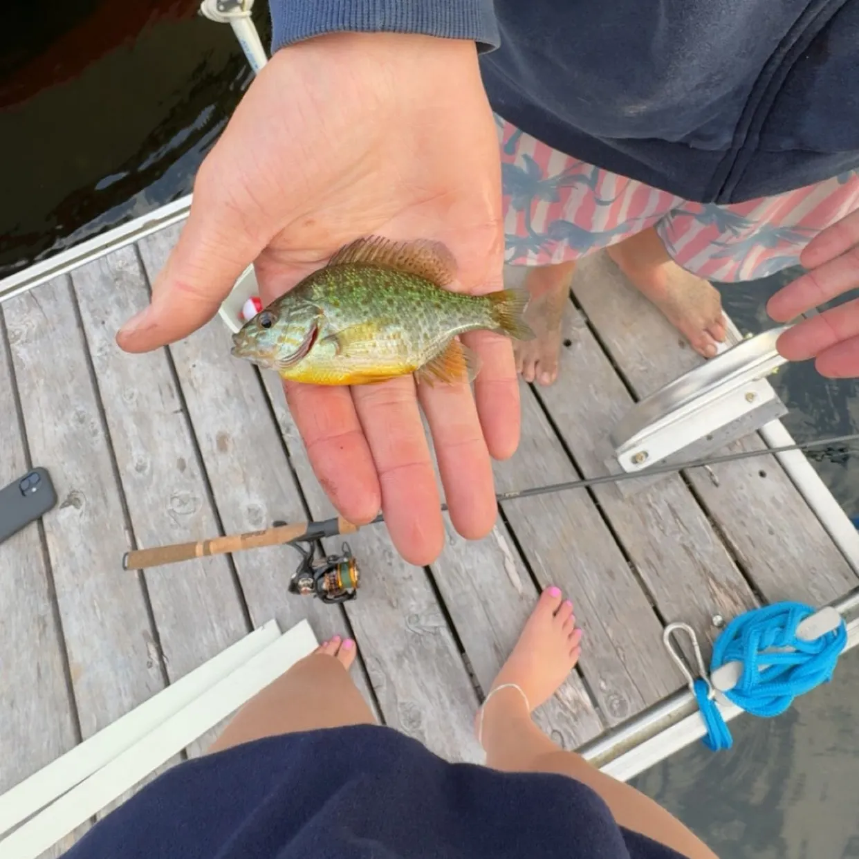 Pumpkinseed caught on Fishbrain